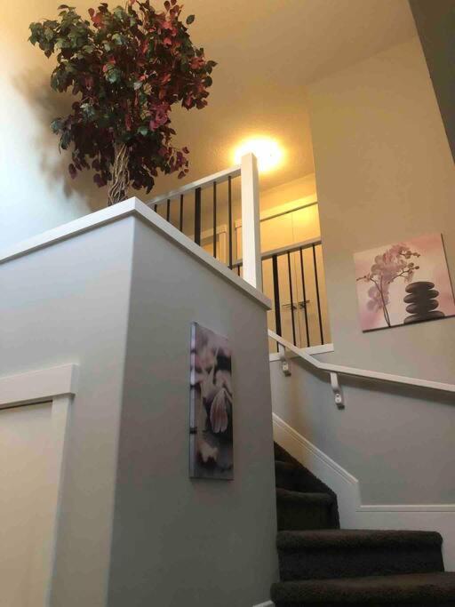 Cozy and beautiful 3 bedroom house close to lake