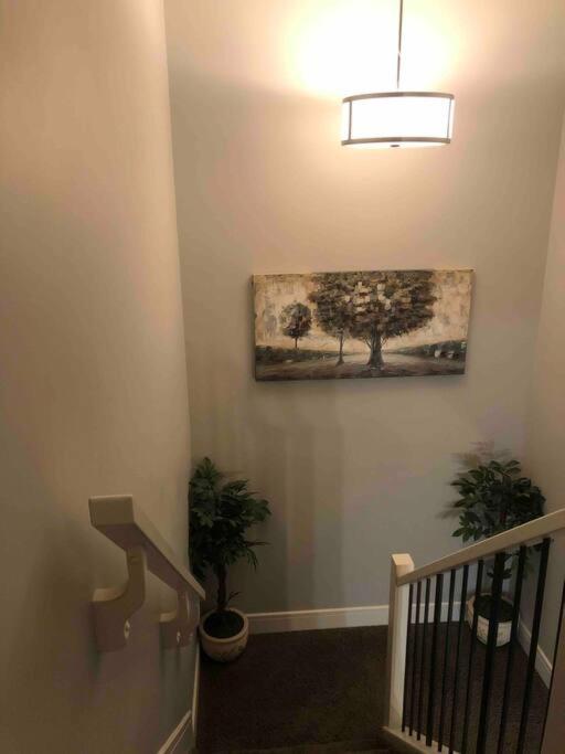 Cheerful and beautiful 3 bedroom home close lake