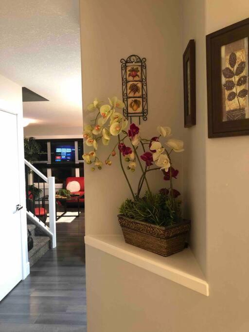 Cheerful and beautiful 3 bedroom home close lake