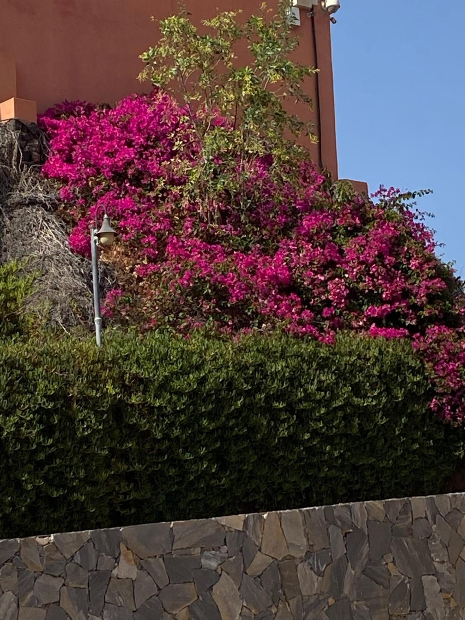 Besonderes Apartment mit einzigartigem Meerblick