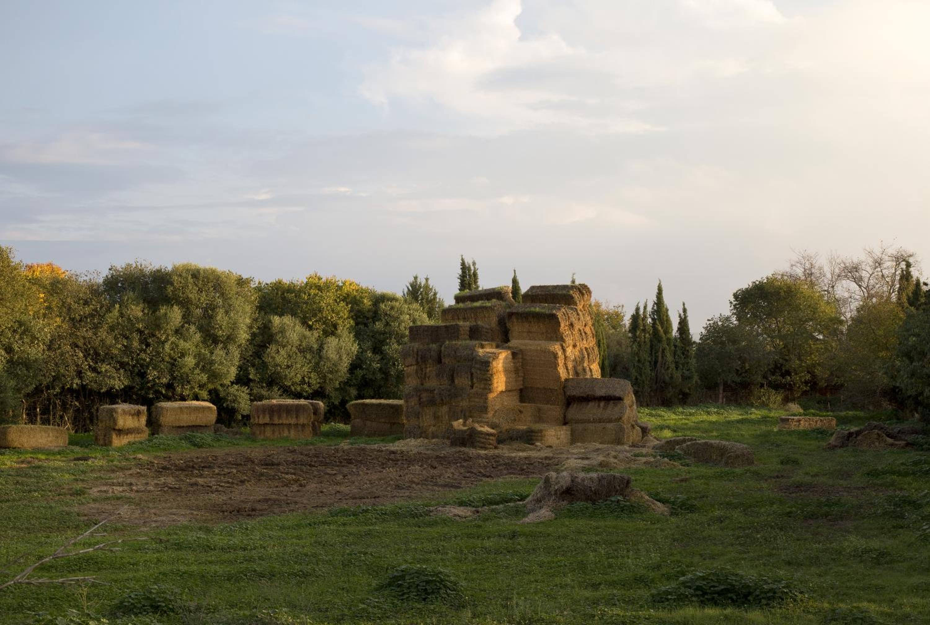 Photo 46