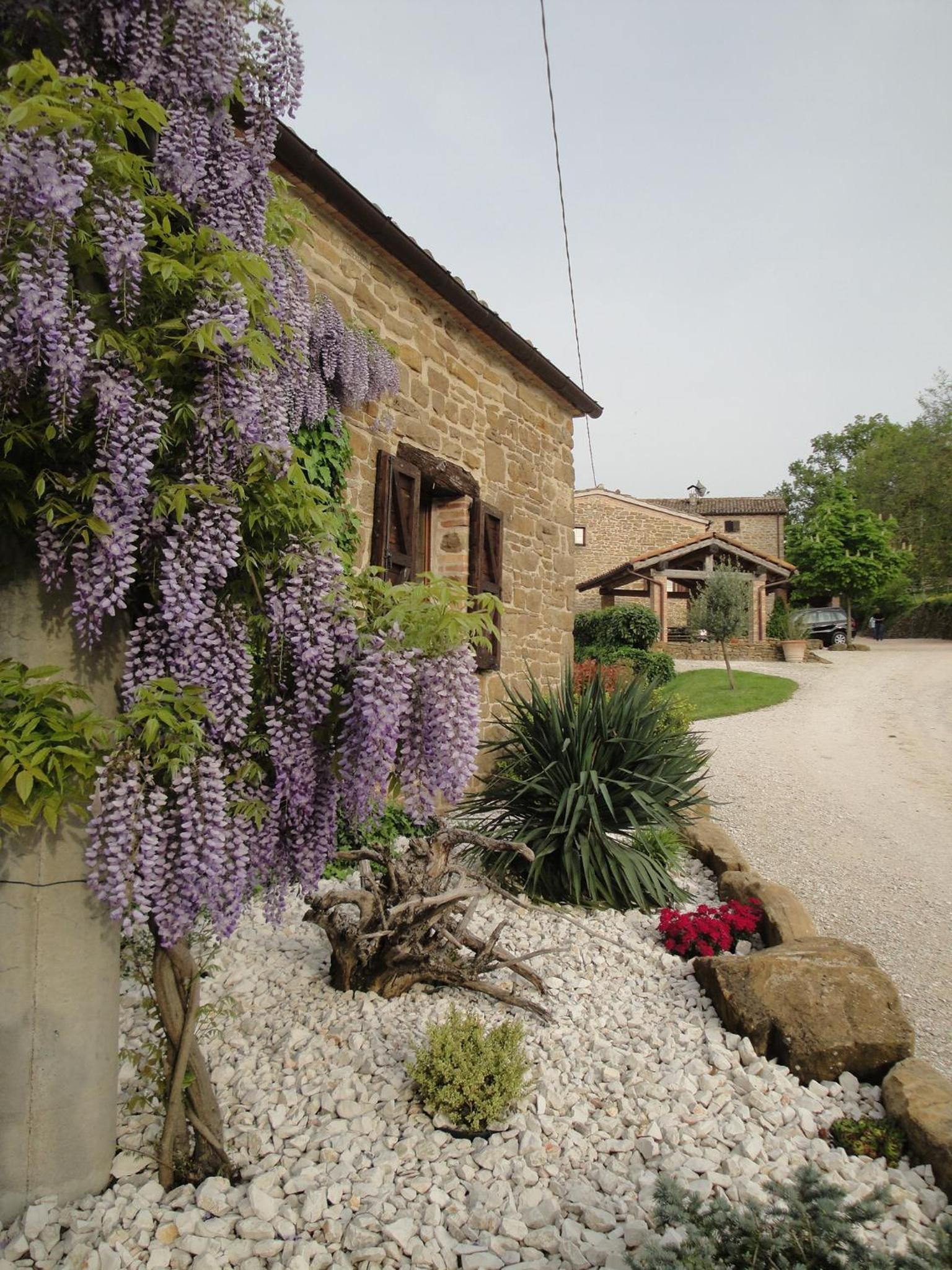 Photo 45