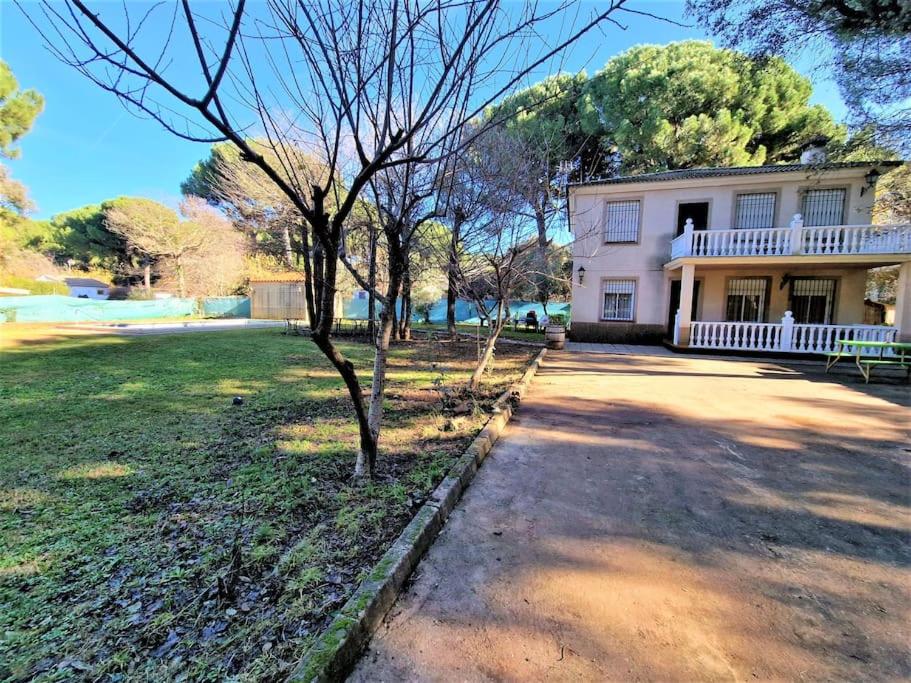 Casa las Rosas de Trassierra