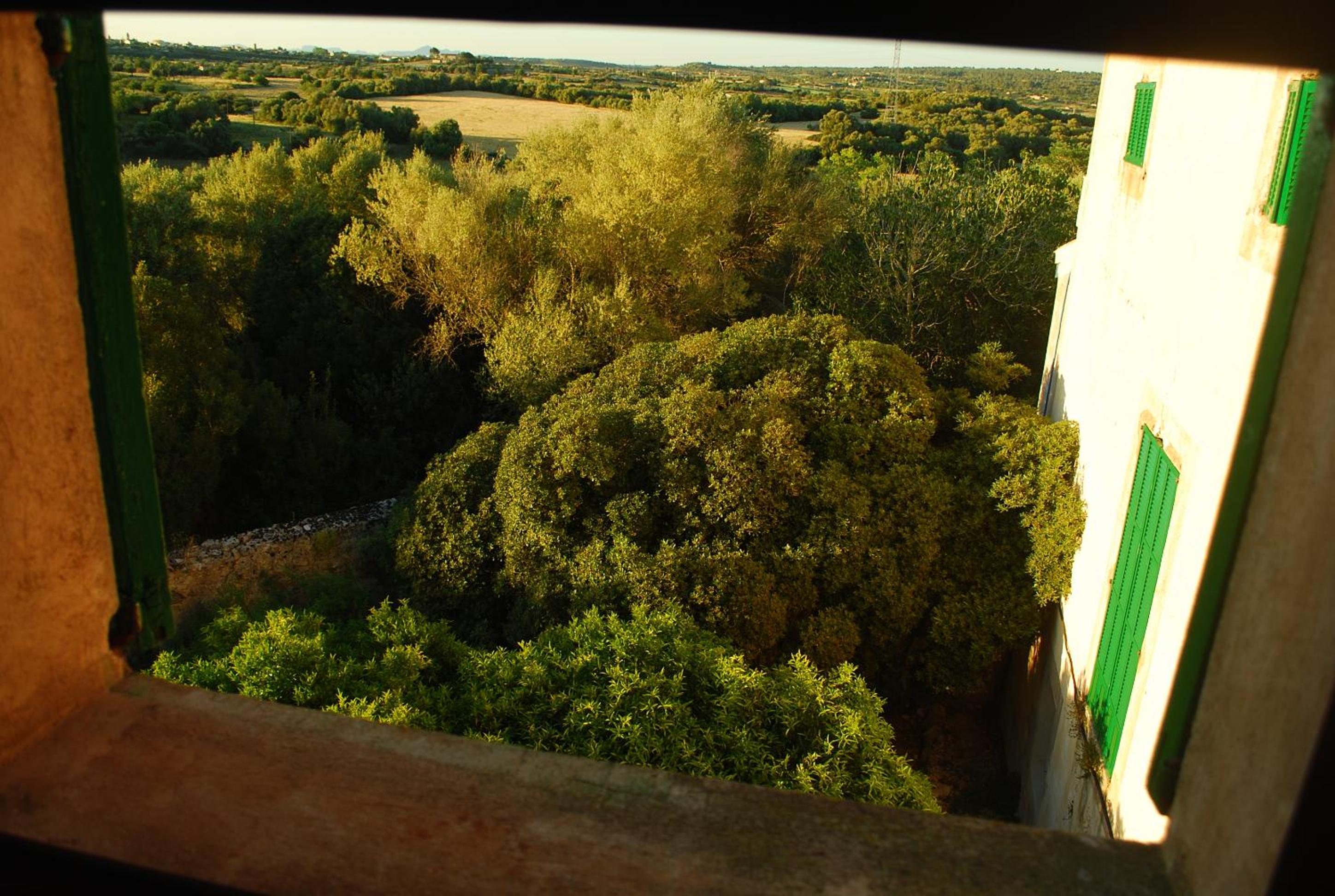 Agroturismo Son Sant Andreu