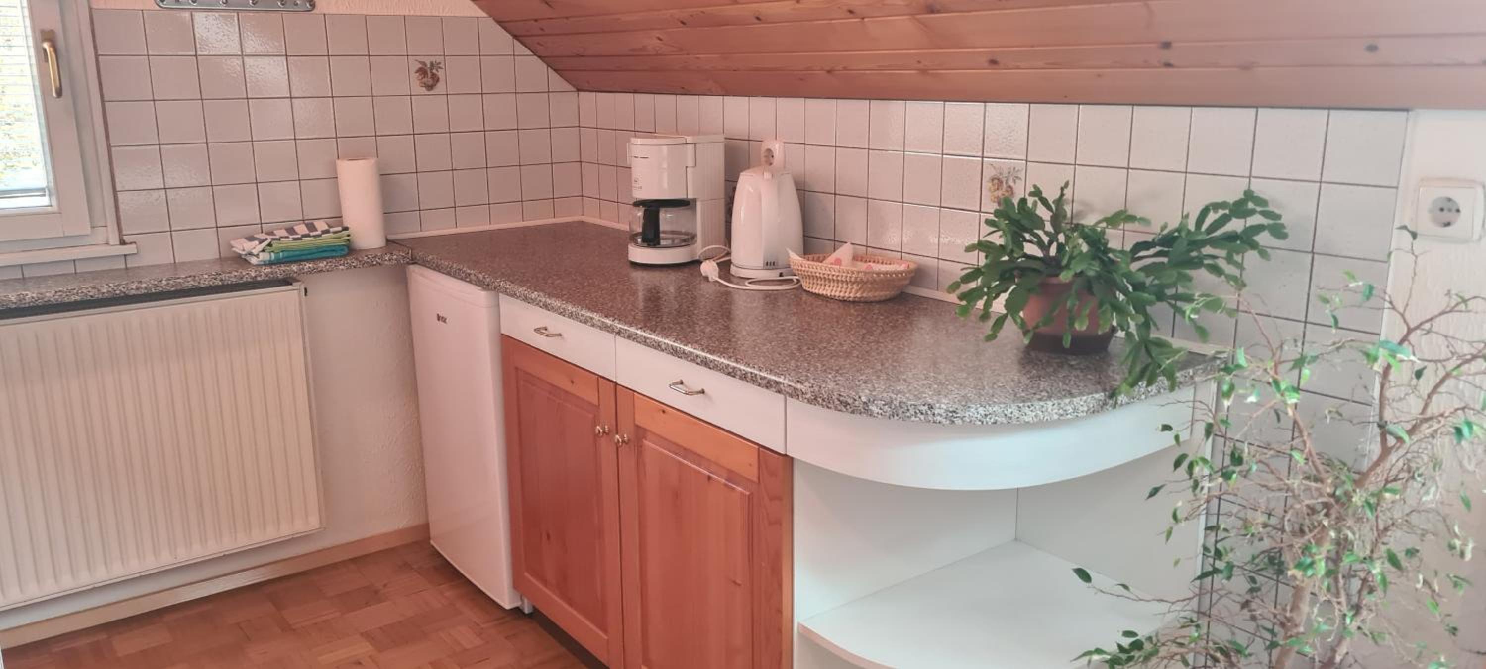 Apartmaji Marinka Hodnik view 3