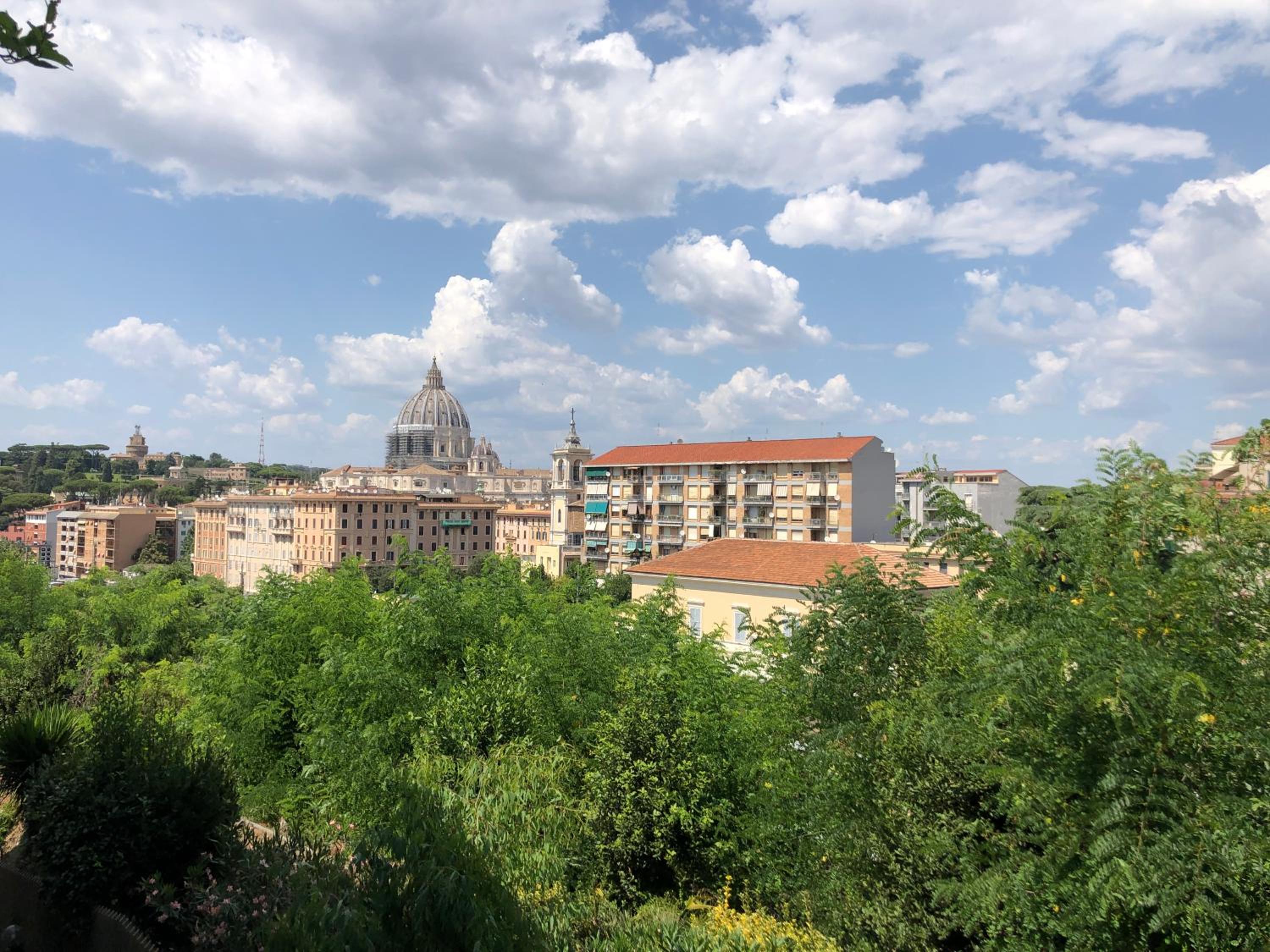 Delmirani's Book Apartments - Vatican View