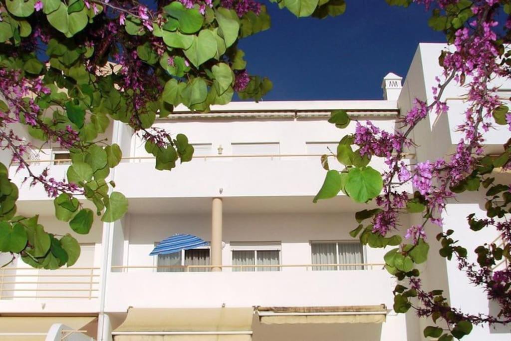 Maray Apartment near Porto de Mós and Praia Dona Ana