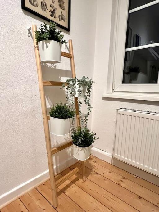 Stadtoase Design Wohnung in der Altstadt von Koblenz
