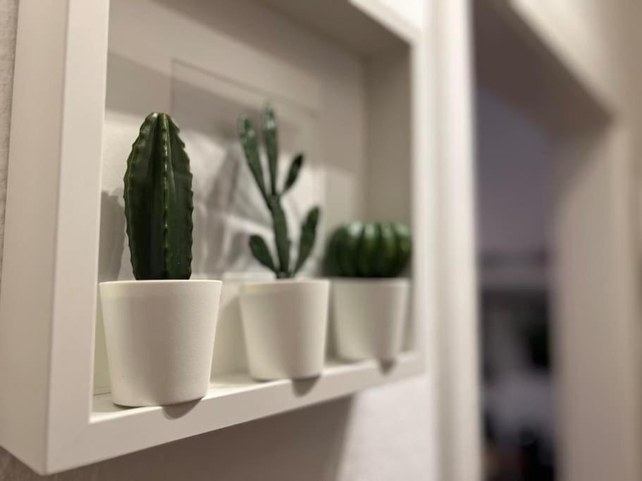 Stadtoase Design Wohnung in der Altstadt von Koblenz