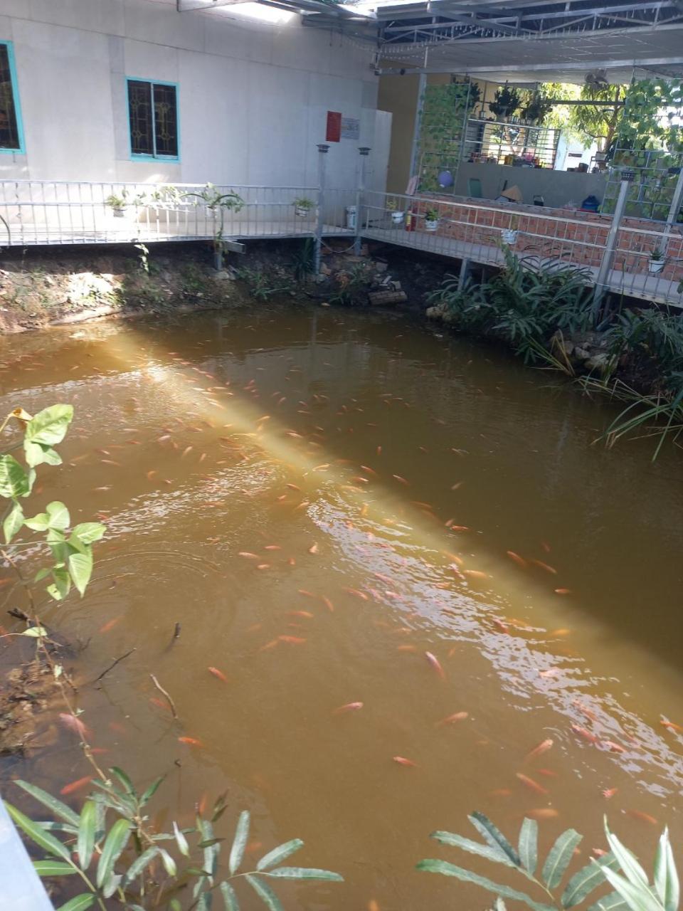Phuoc Long Homestay view 4