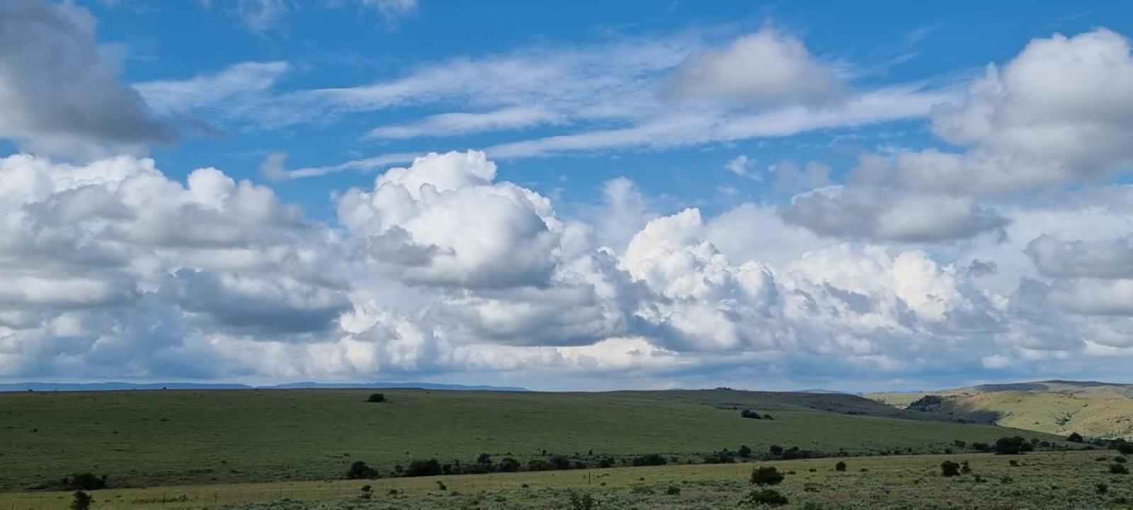 Motubane Guest Farm