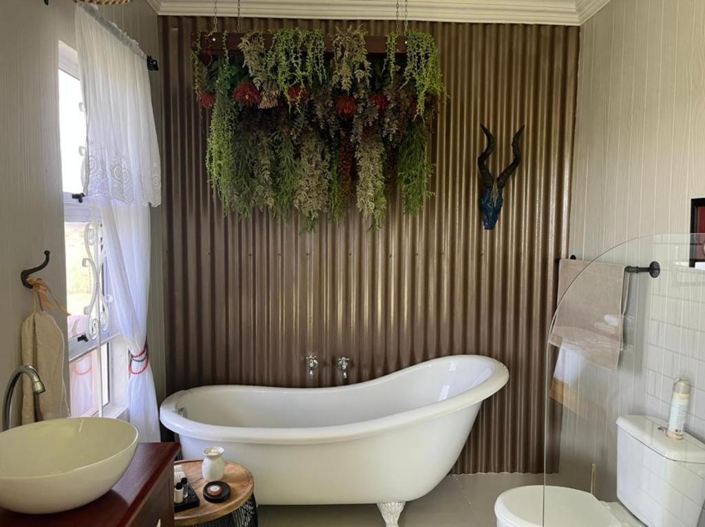 Motubane Guest Farm