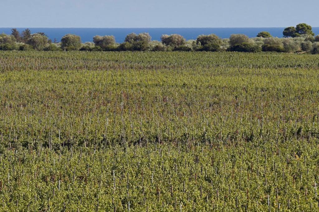 Glamping Masseria Cuturi