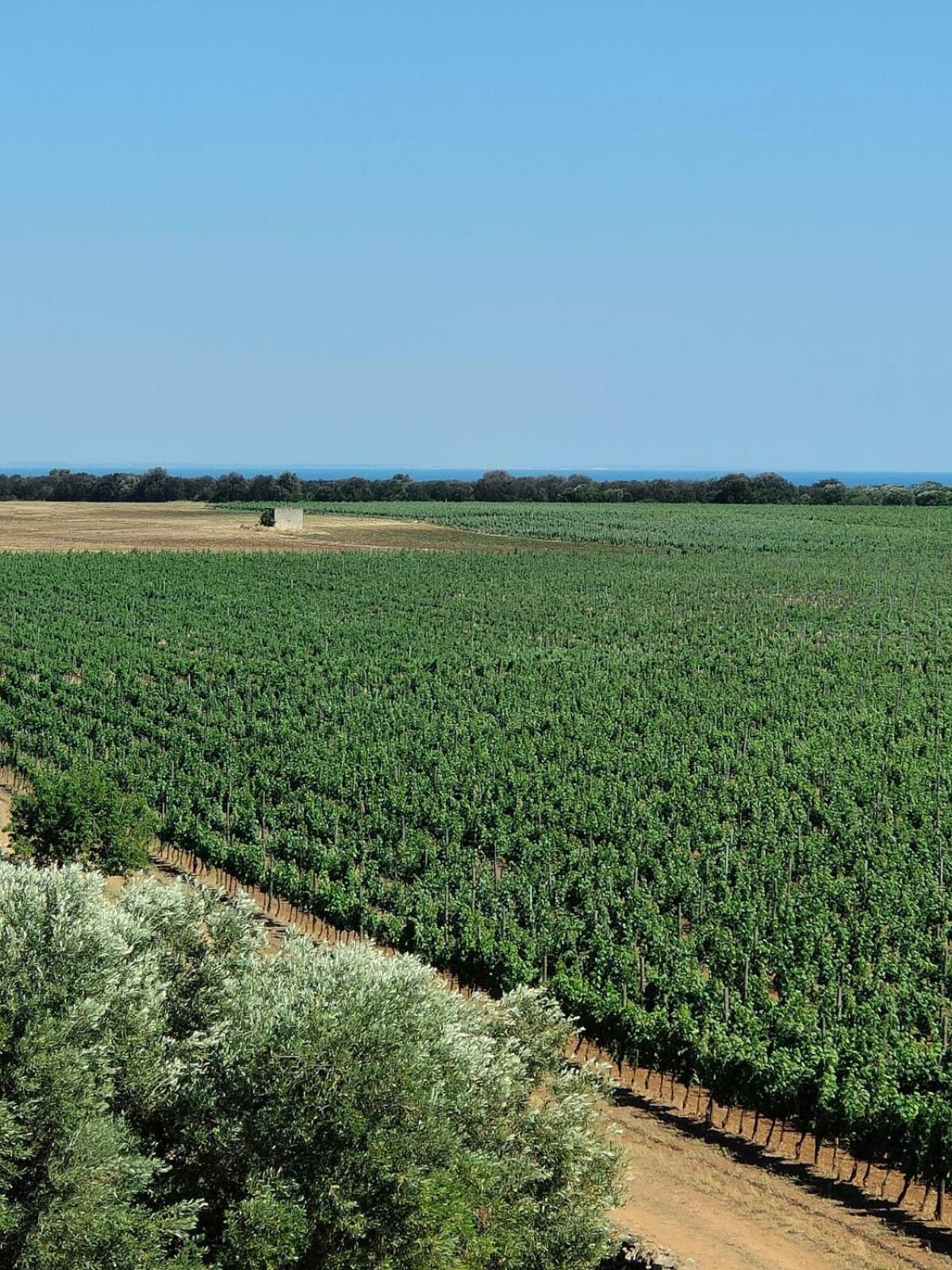 Glamping Masseria Cuturi