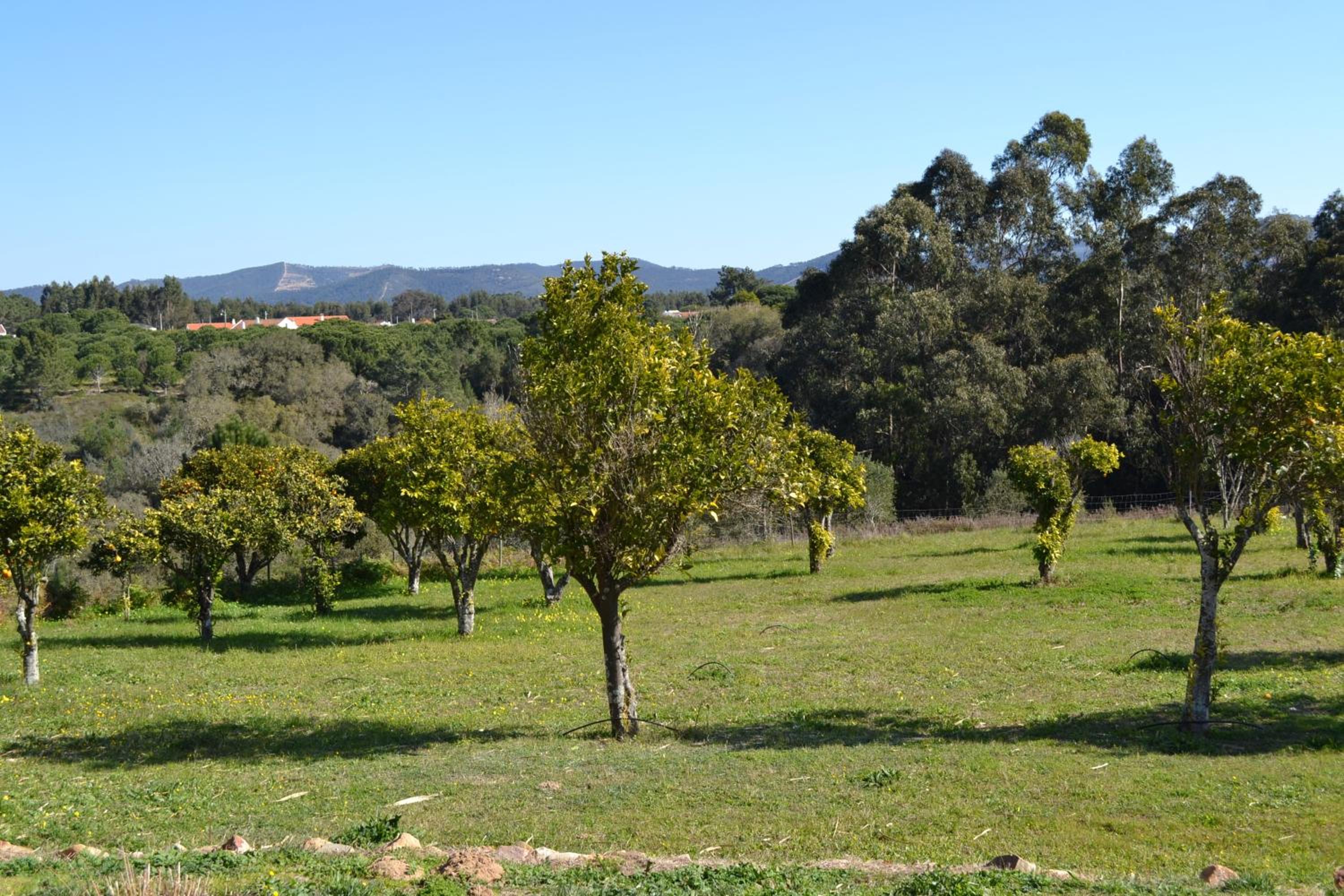 Herdade Do Freixial - Turismo Rural