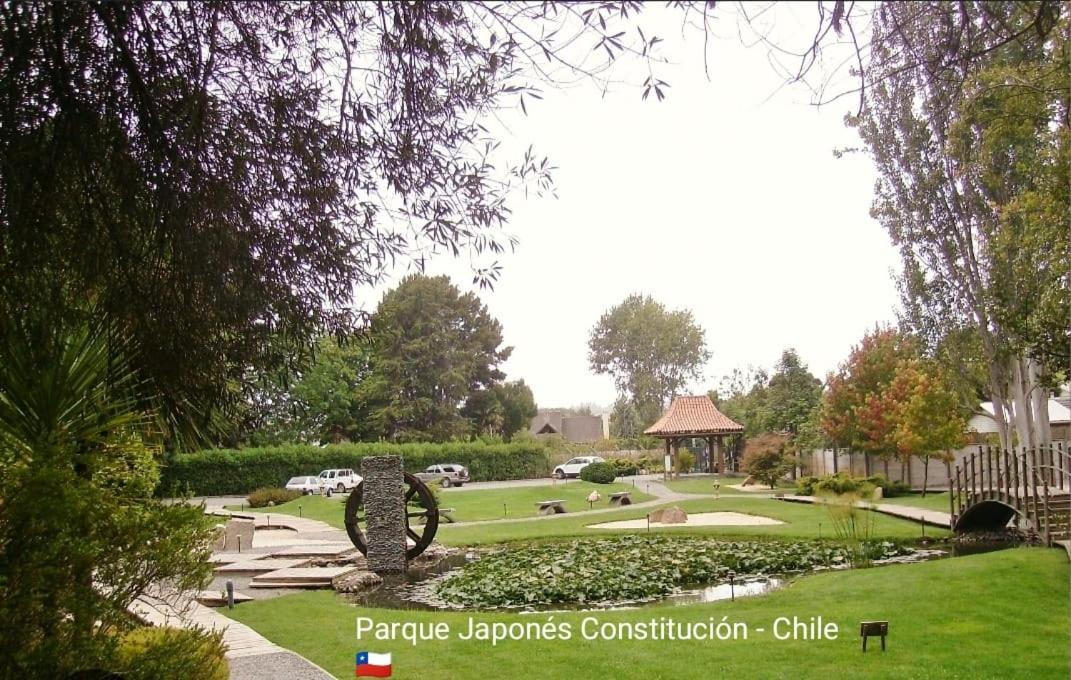 Acogedor Apartamento Constitucion