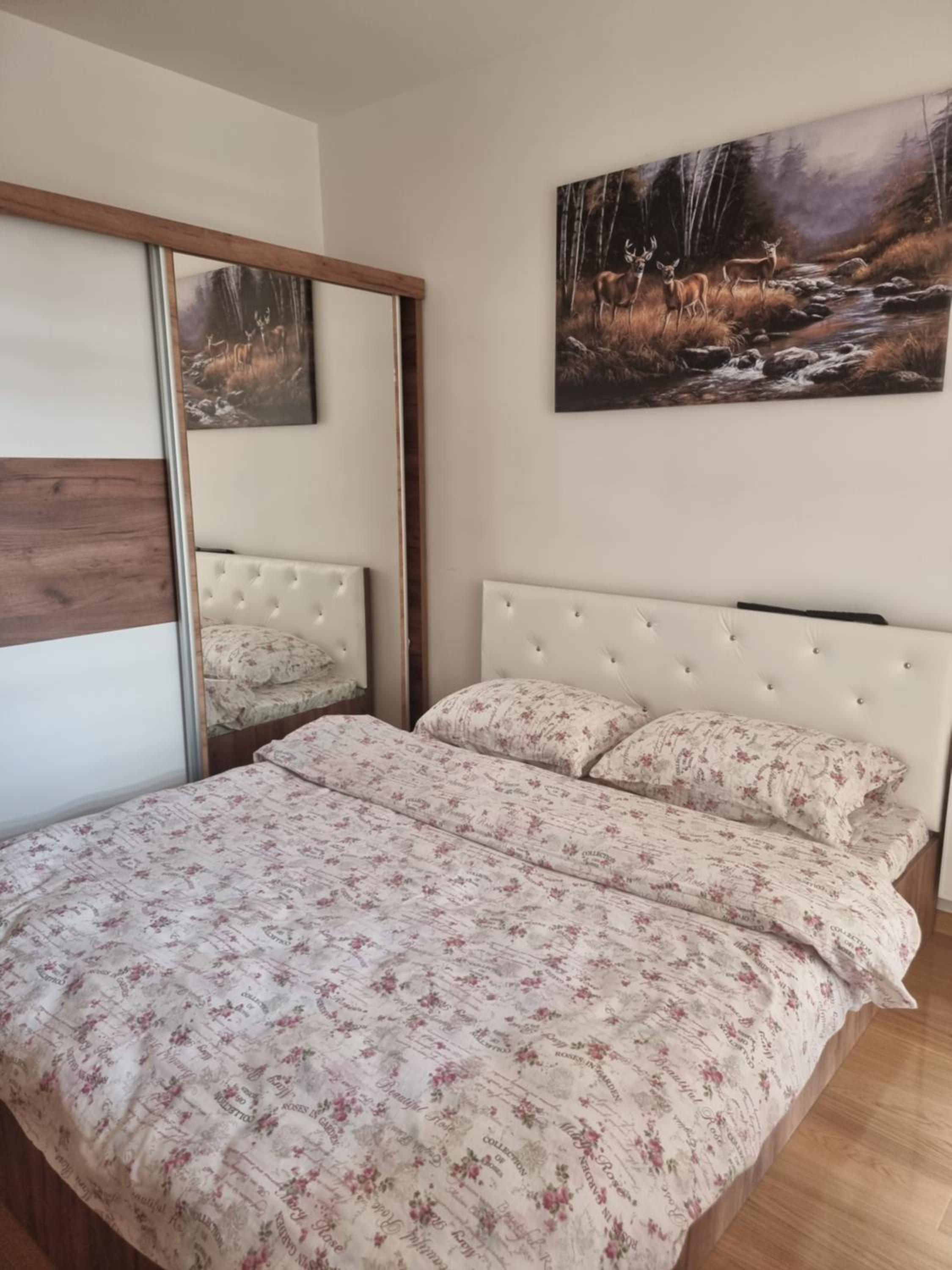 Apartman Stojanovic 2 view 4