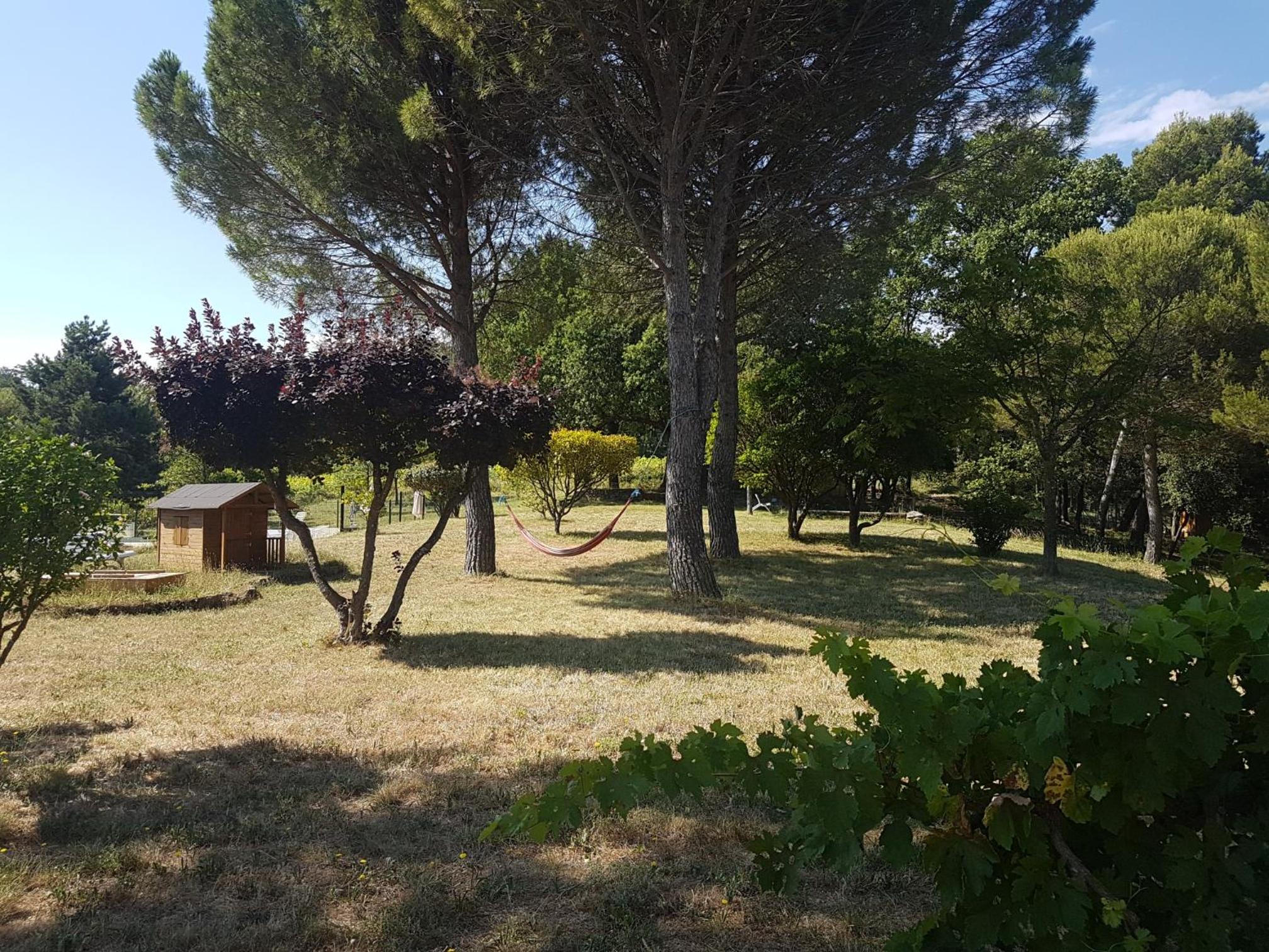 Photo 41