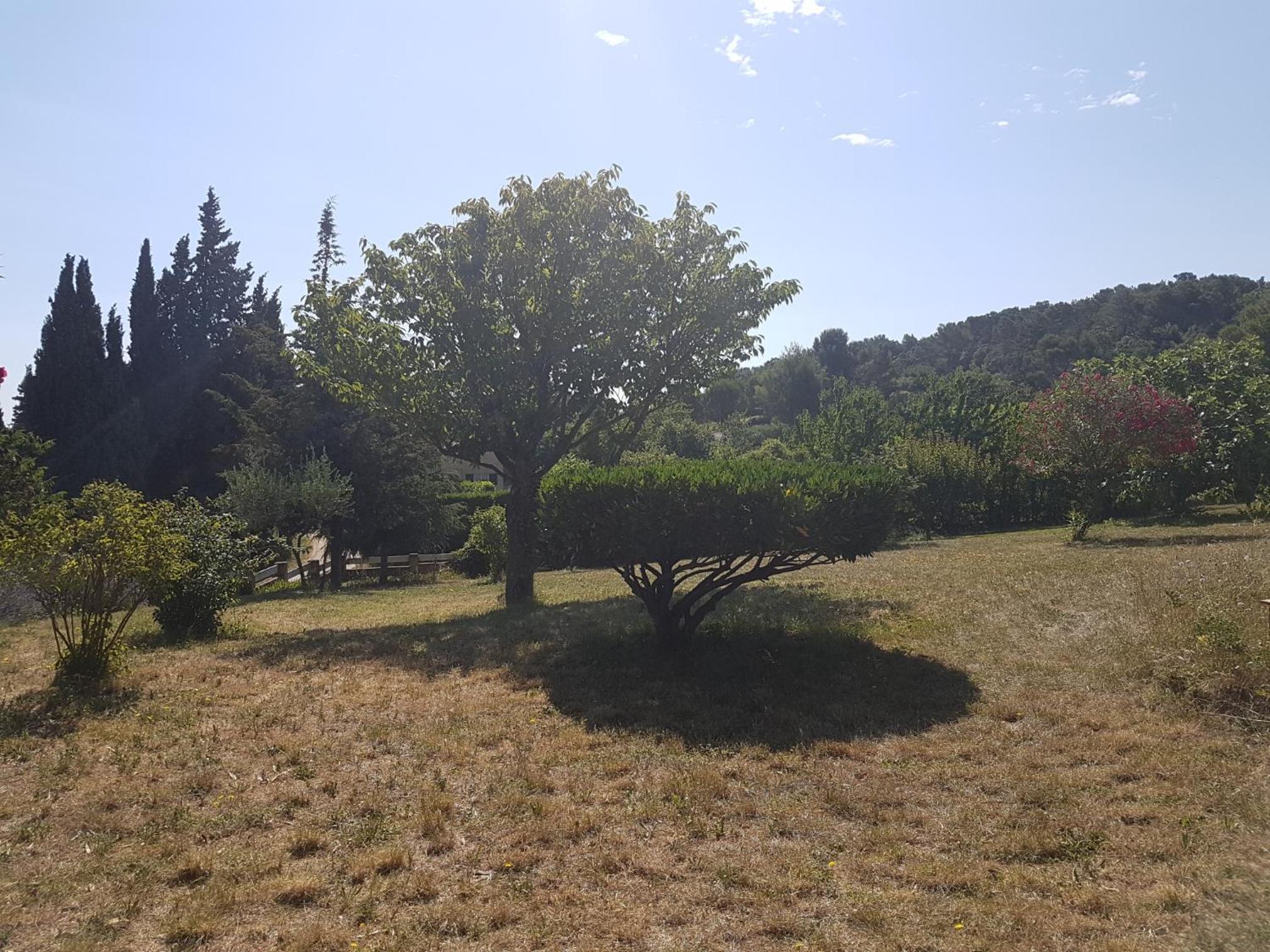 Photo 27