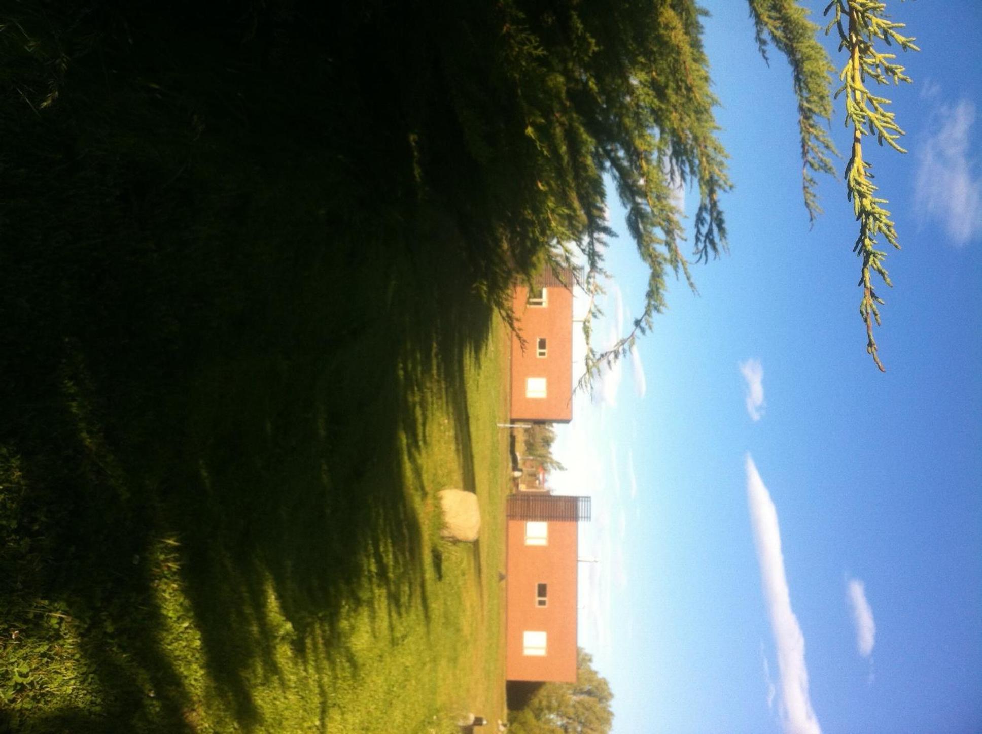 Photo 36
