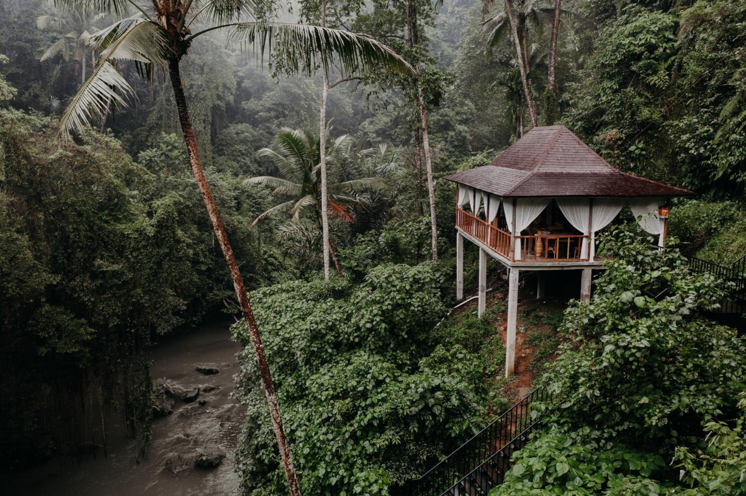 Bedulu Cliff Estate Ubud - Tree Top view 5
