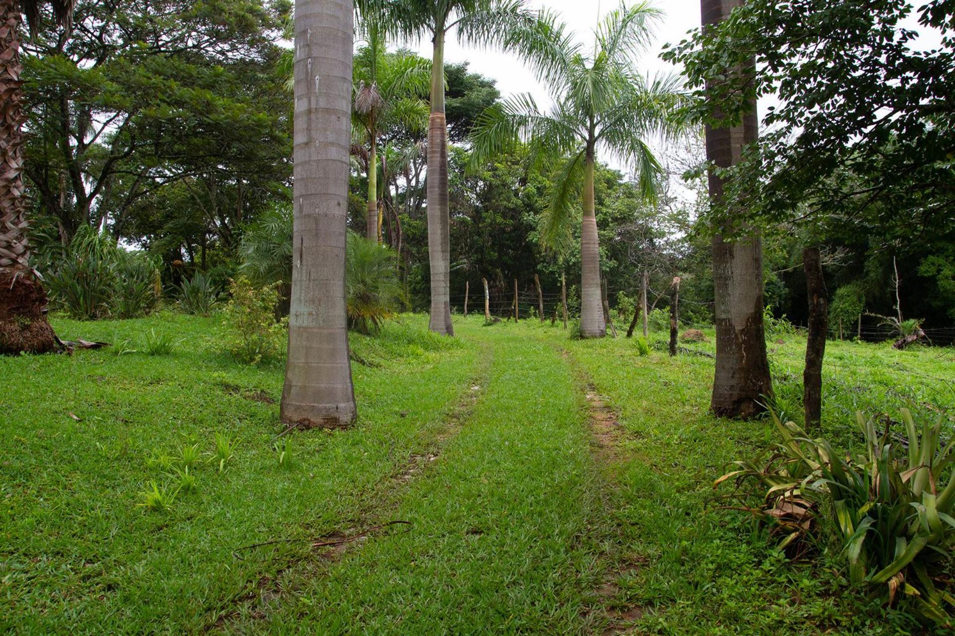 Chacara com WiFi de frente a lagoa em Betim MG