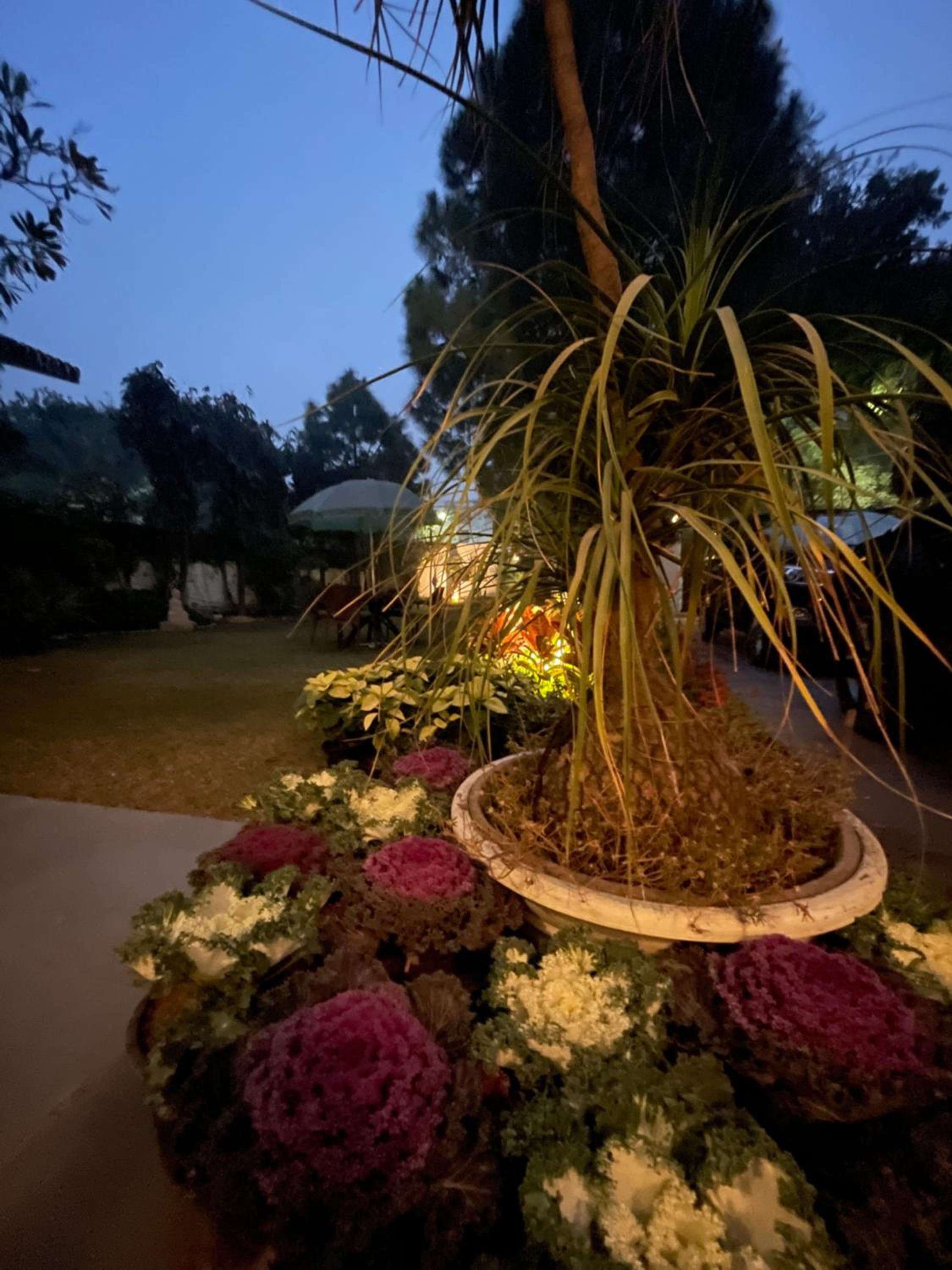 The Stay Inn New Delhi