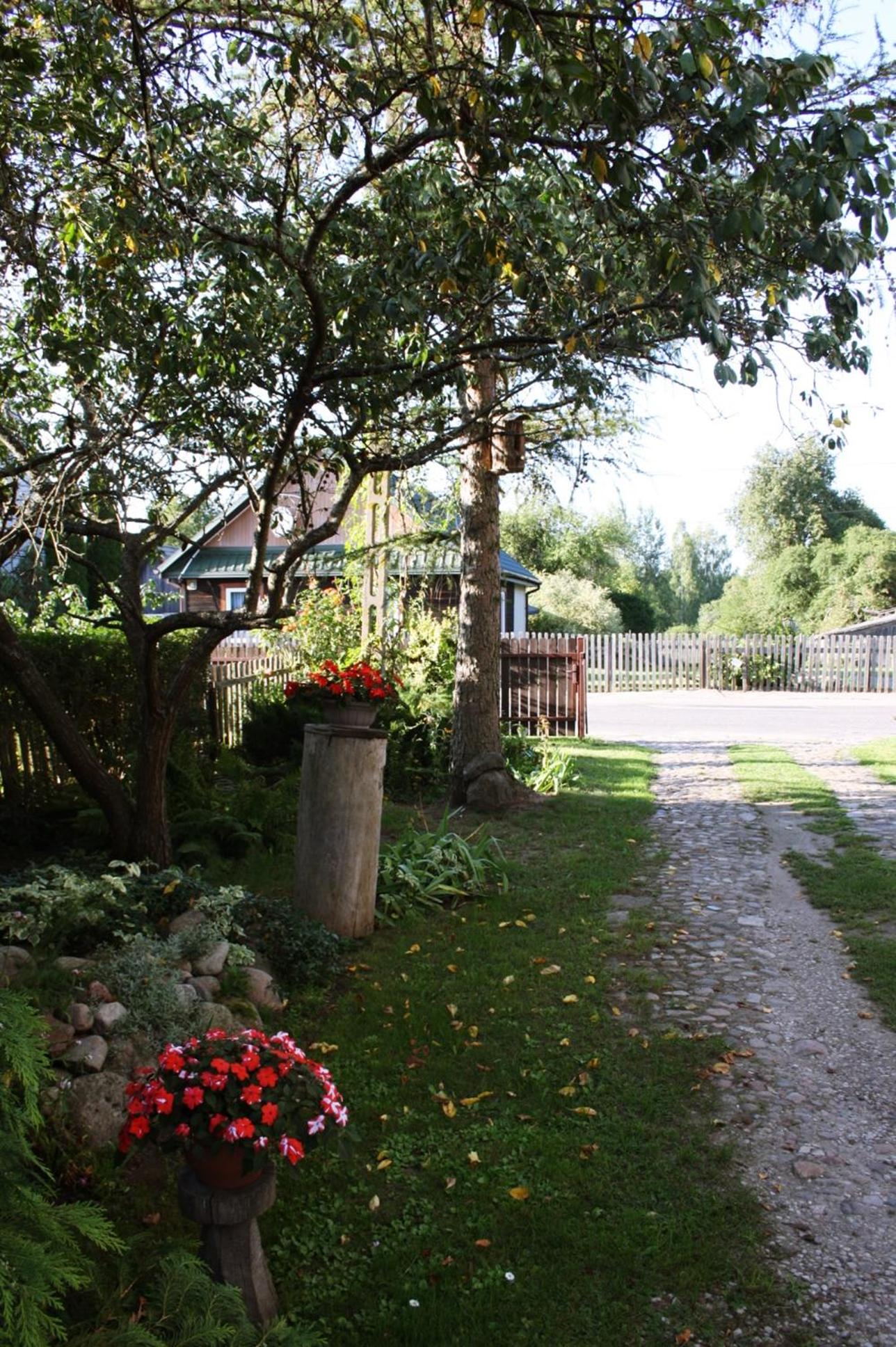Photo 23