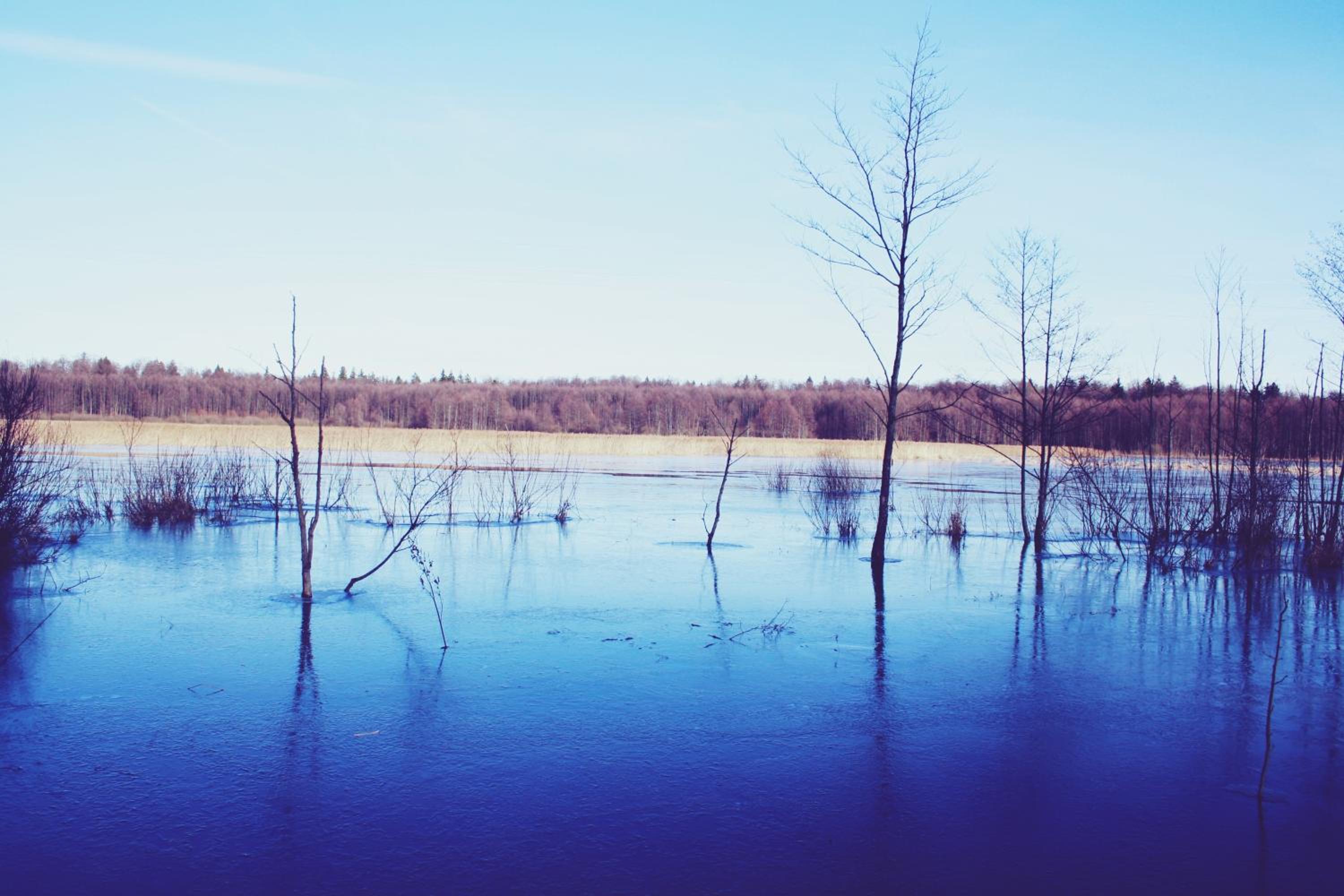 Photo 45