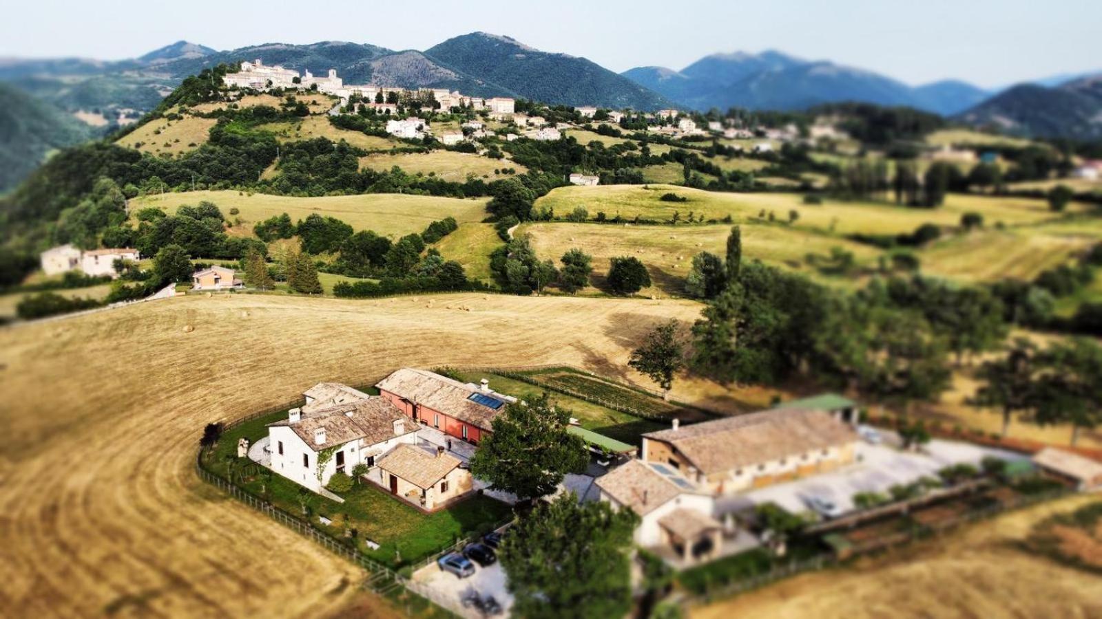 Agriturismo Casale Montebello view 3