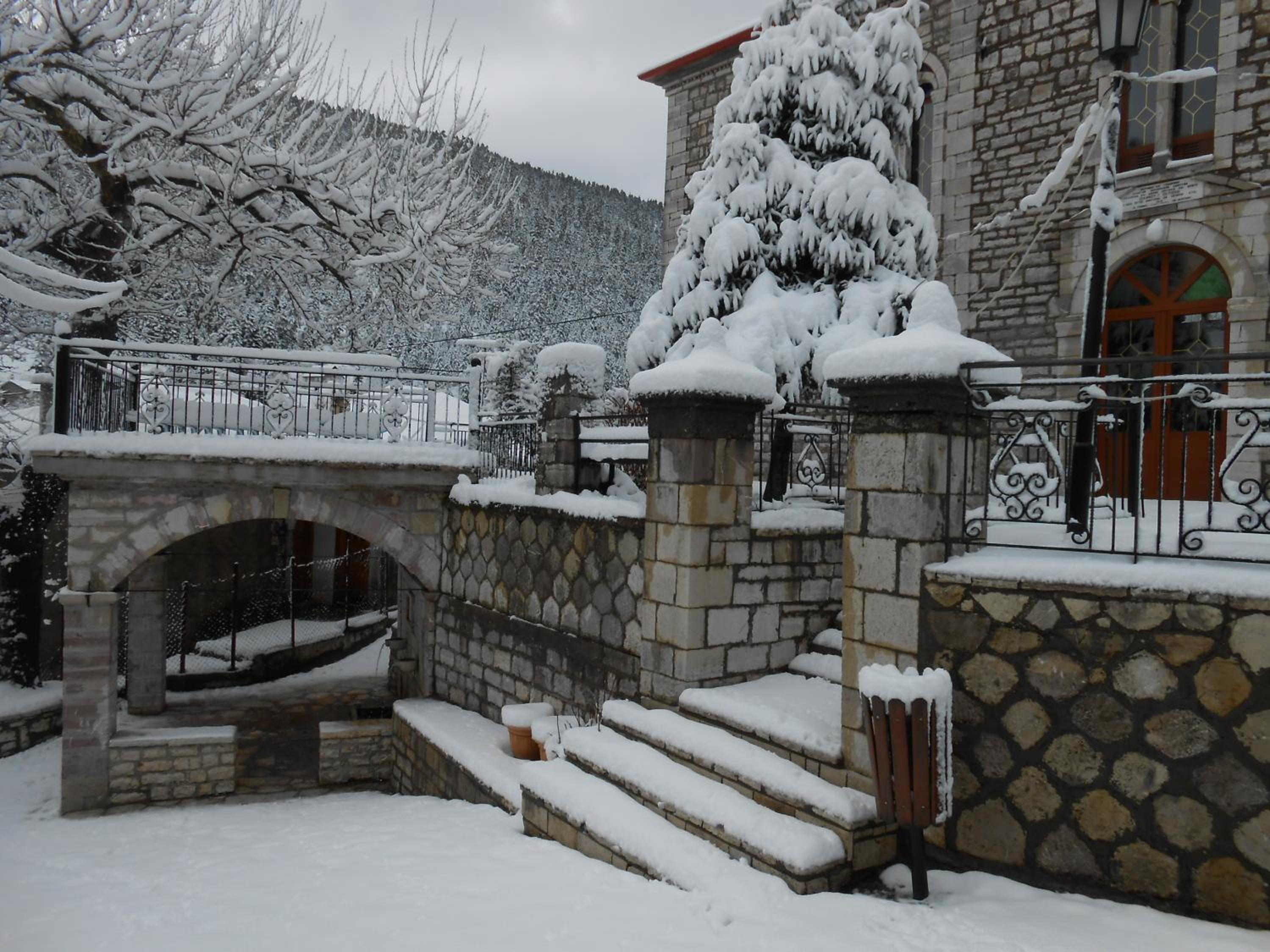 Photo 10