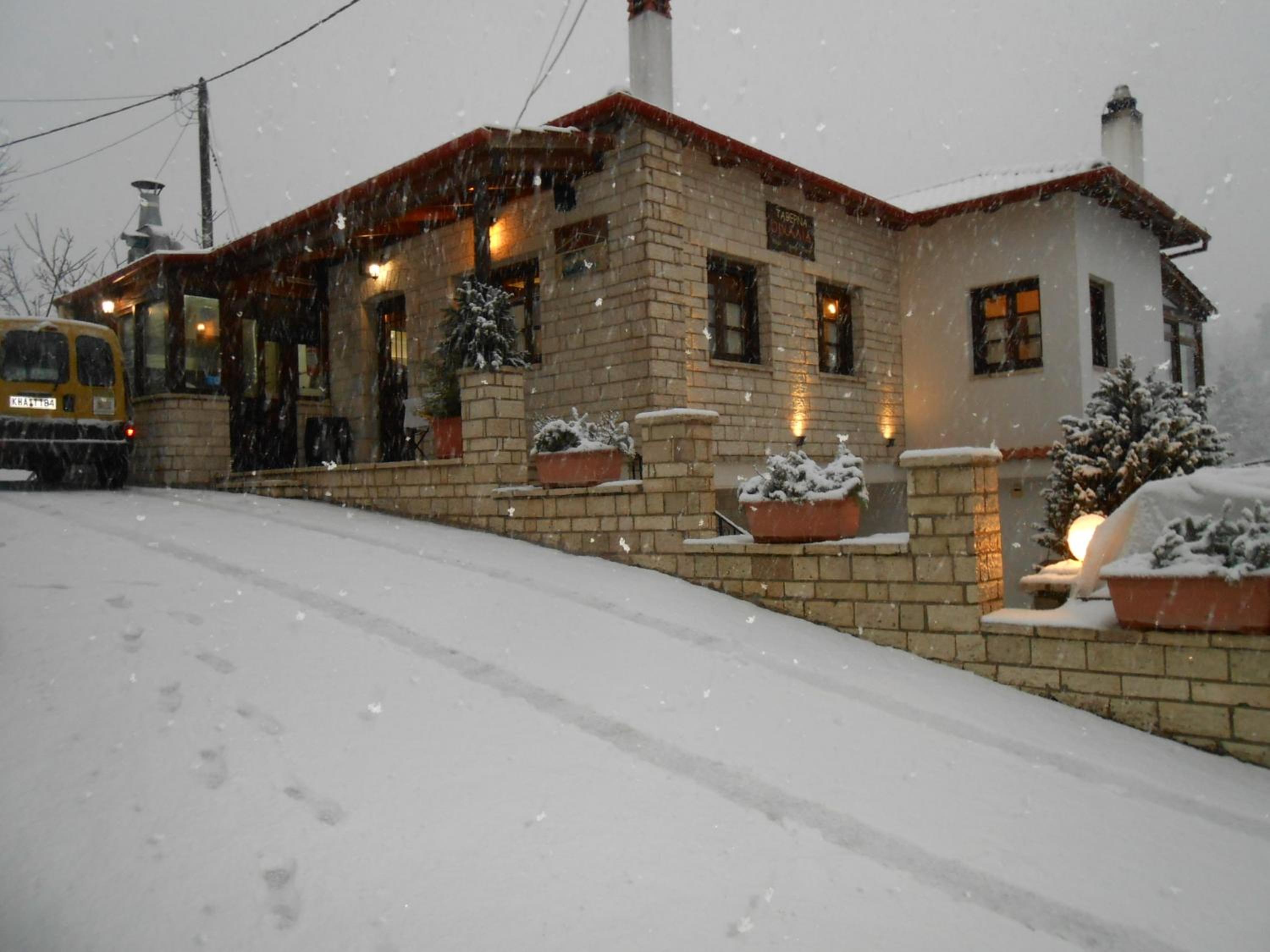 Photo 9