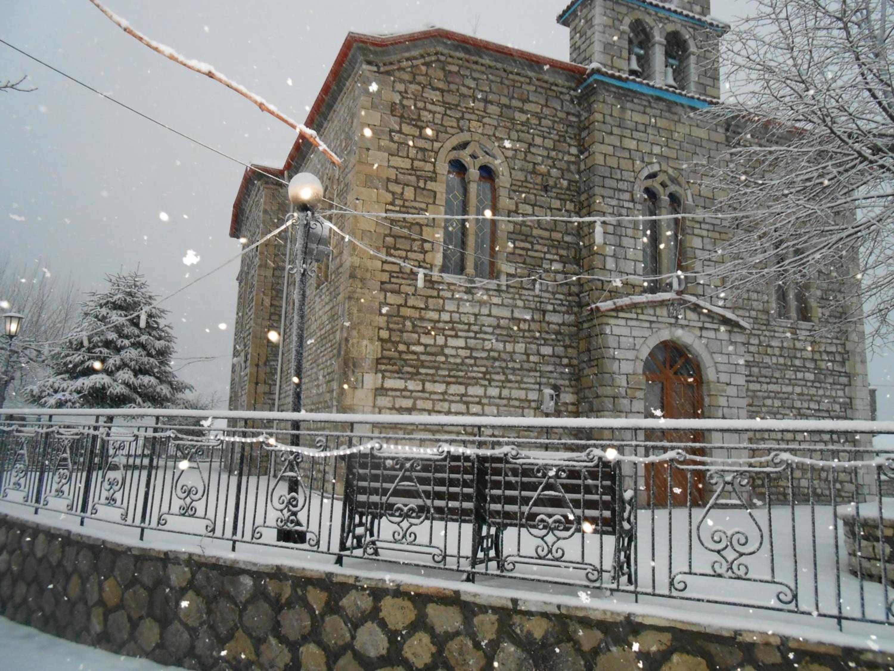 Photo 8
