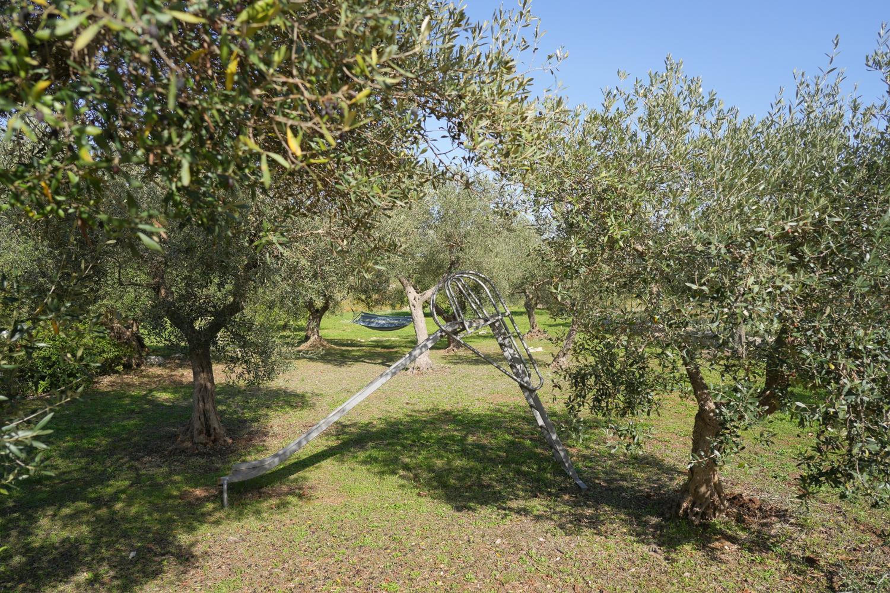 Photo 24