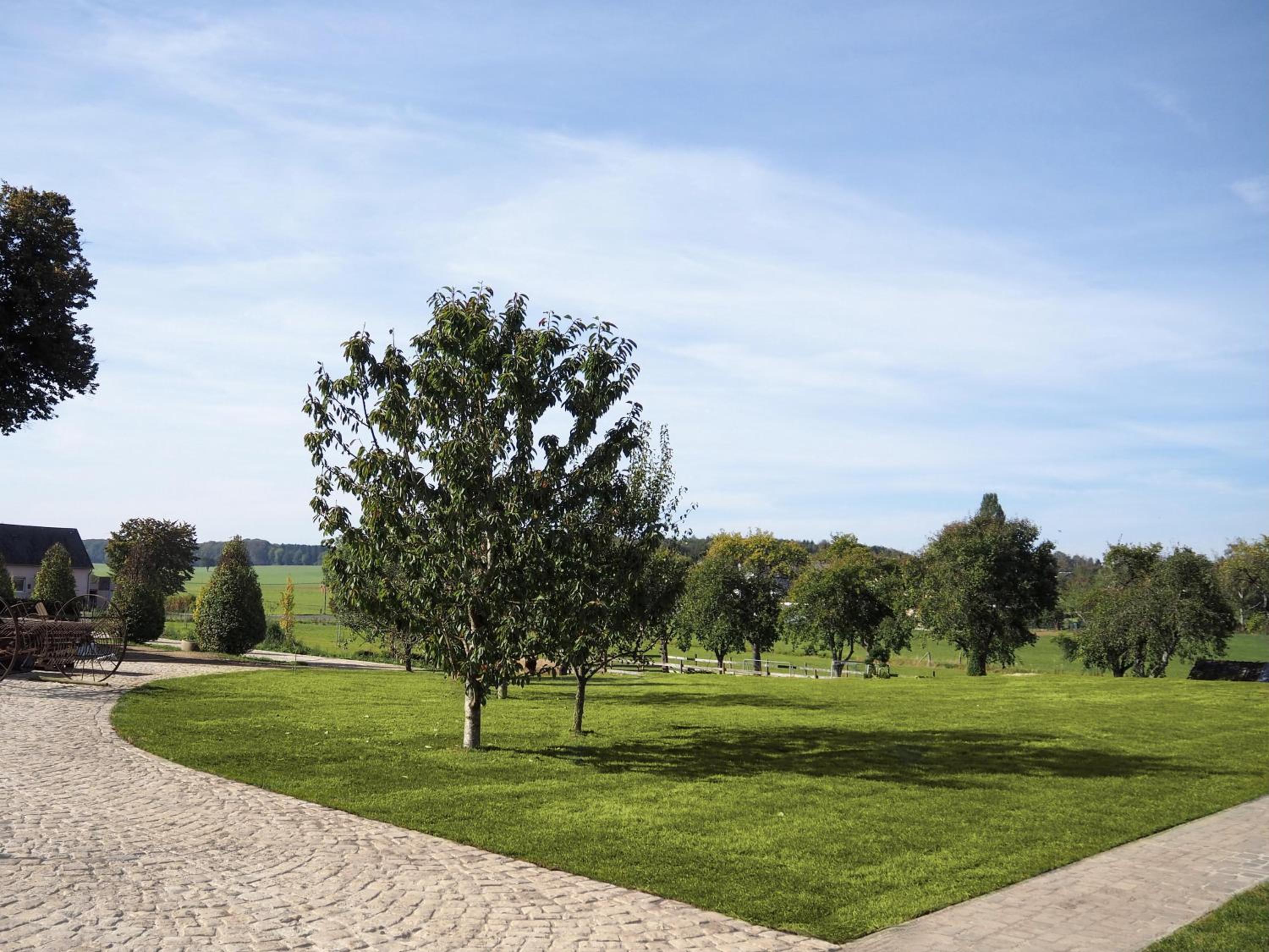 Ferienwohnungen Kohnshof