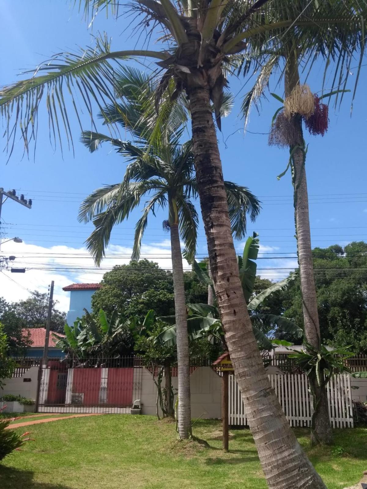 Casa Aconchego das Pitayas