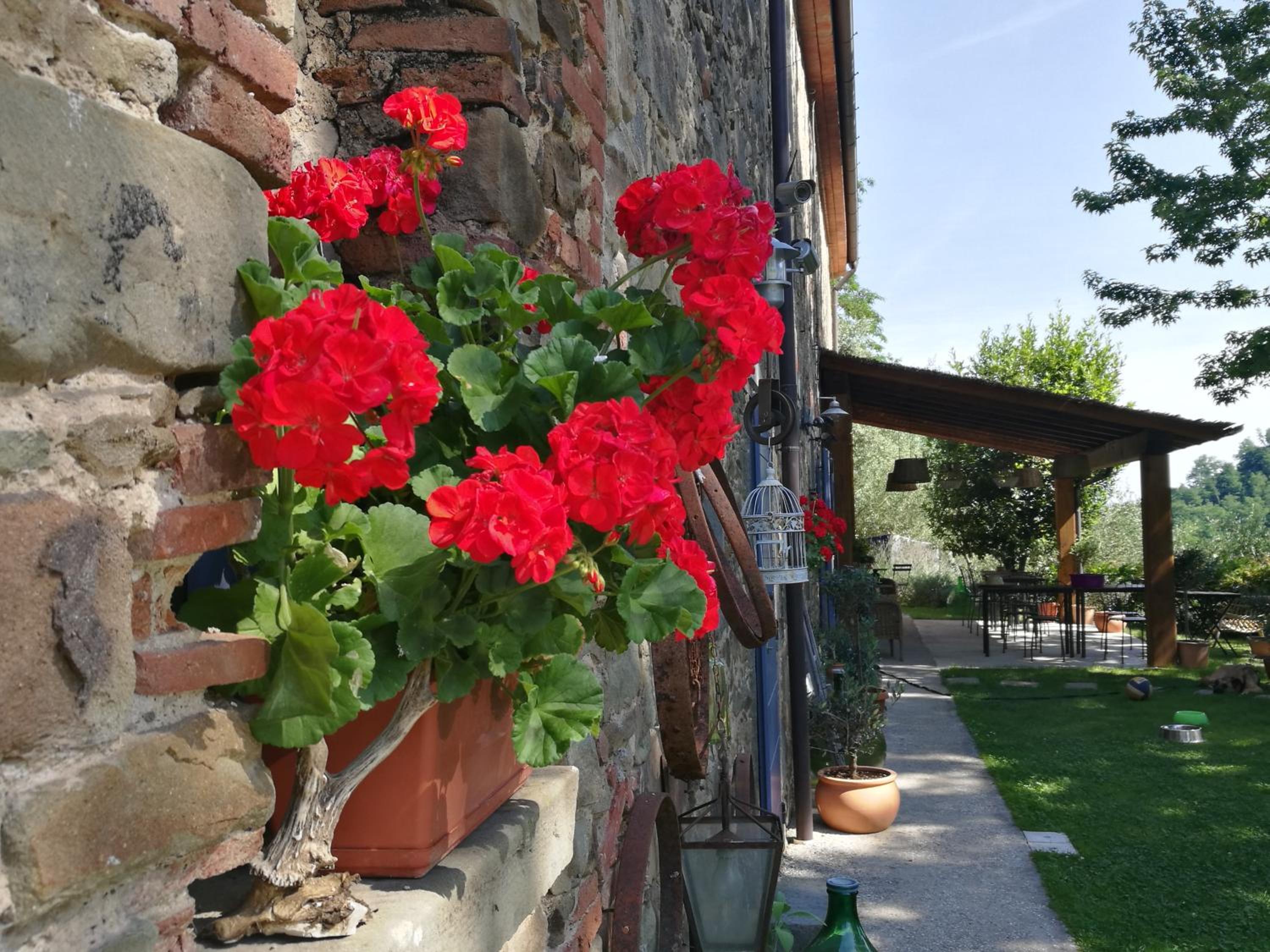 Agriturismo Tananei