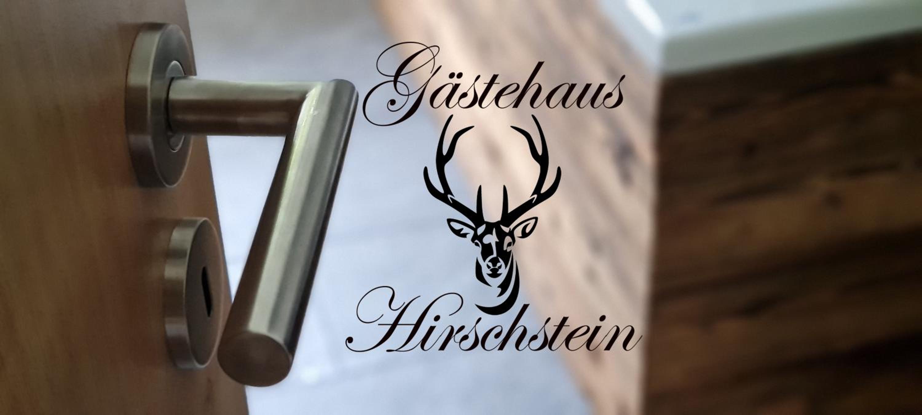 Gastehaus Hirschstein - Hochwertige Ferienwohnung in sehr ruhiger Lage direkt am Fluss Goltzsch - Property Image 1
