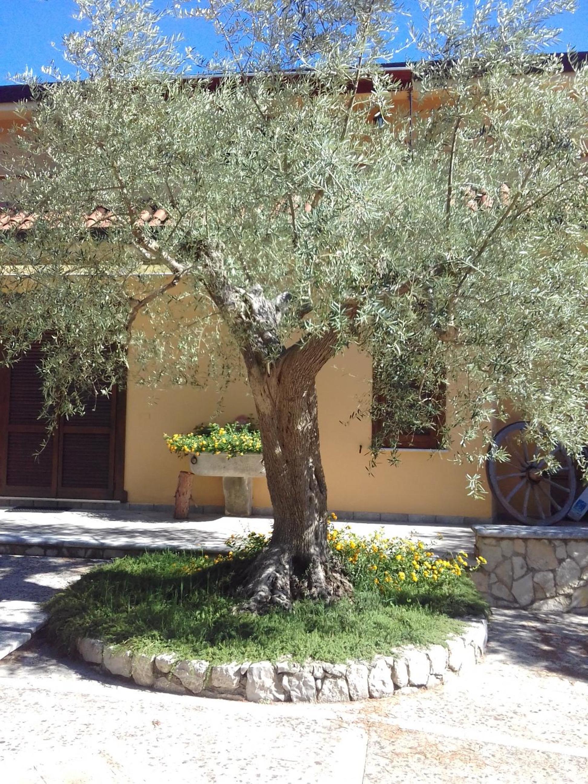 LA CORTE DEL MULINO 1725 view 2