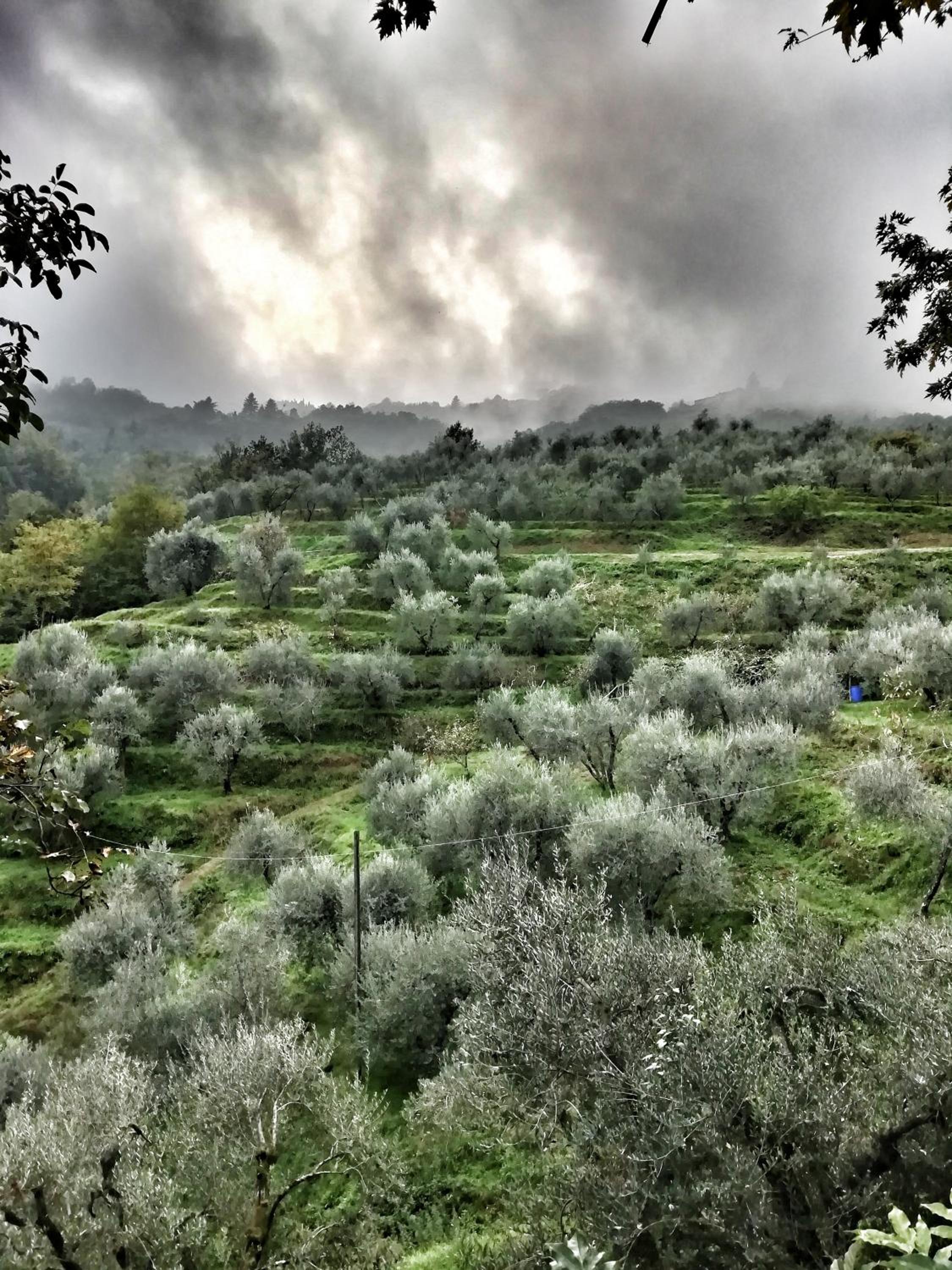 Agriturismo Tananei