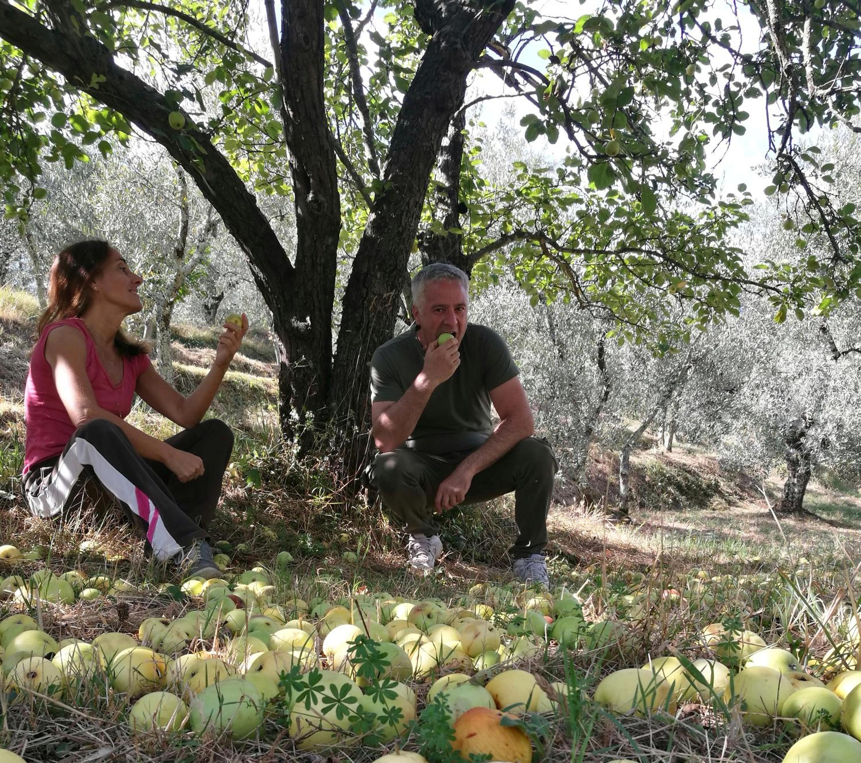 Agriturismo Tananei
