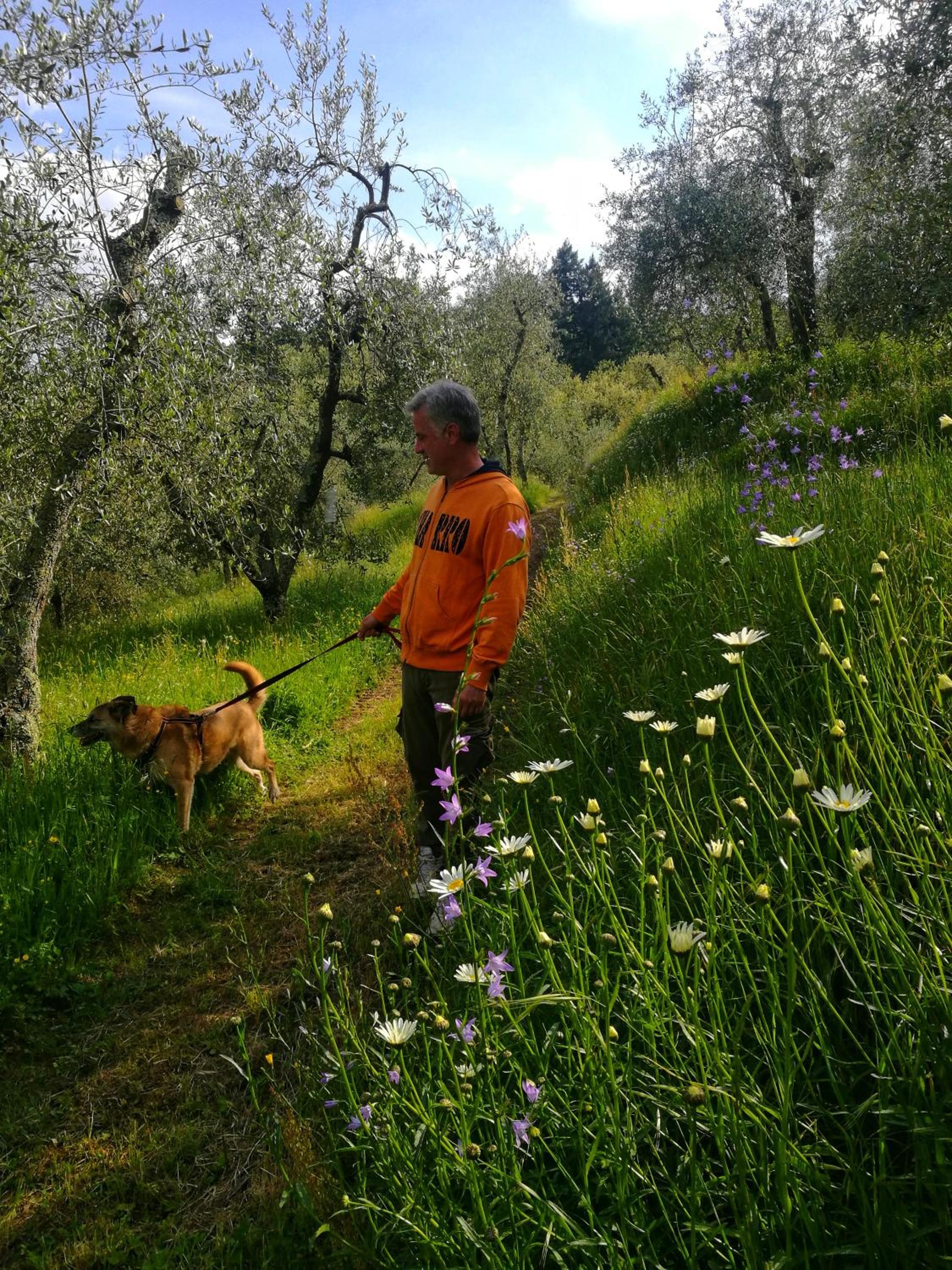Agriturismo Tananei