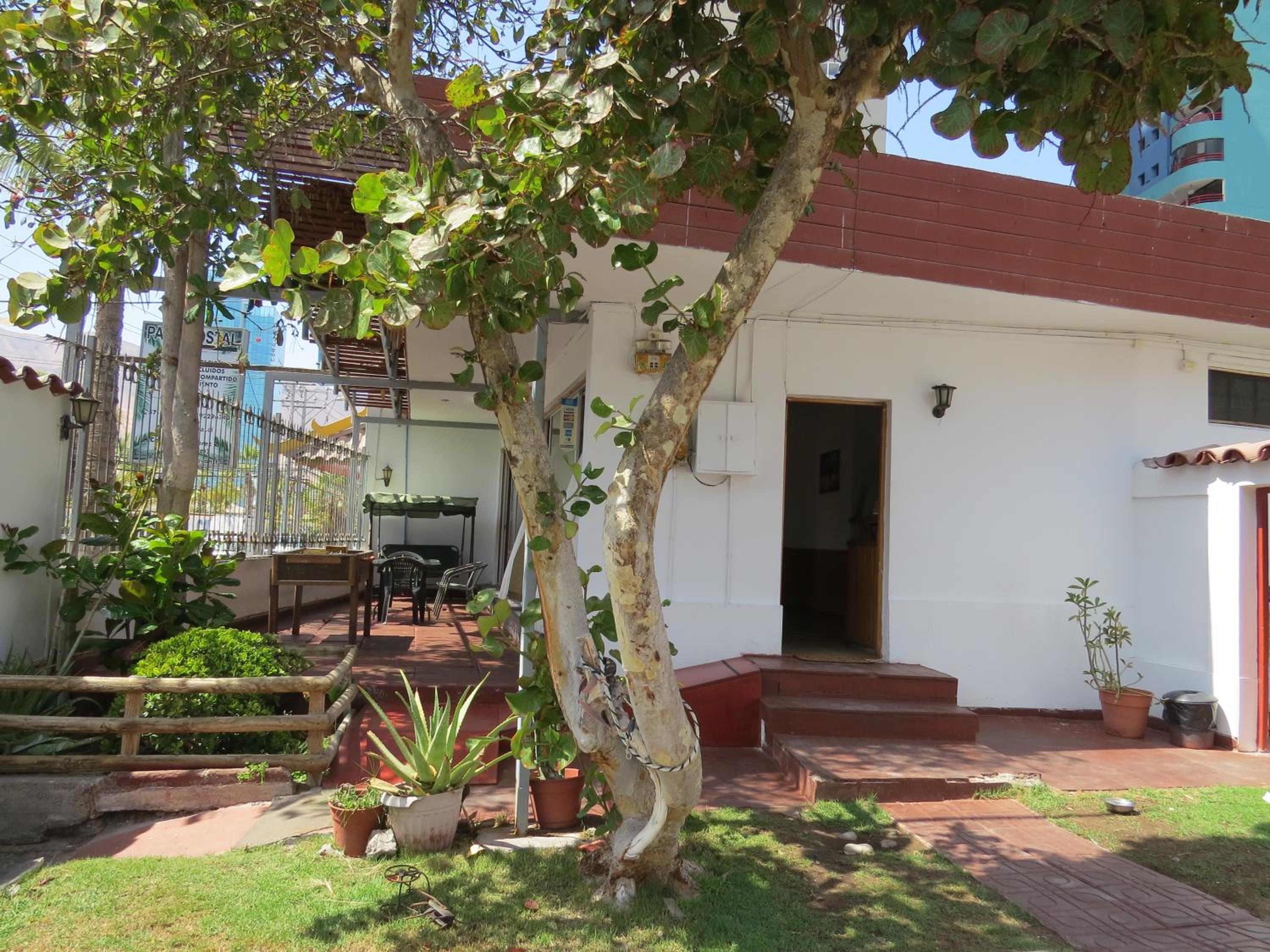 Palm Hostal en Iquique