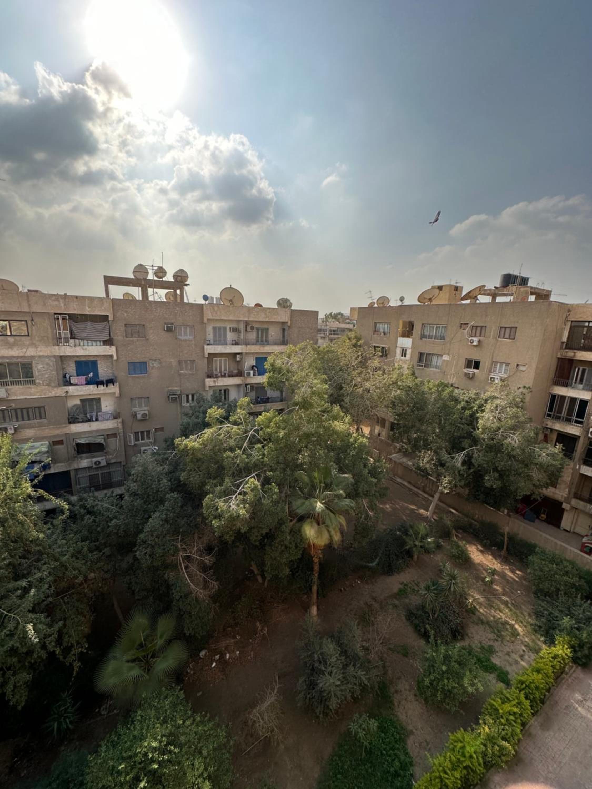 Room in Degla, Maadi