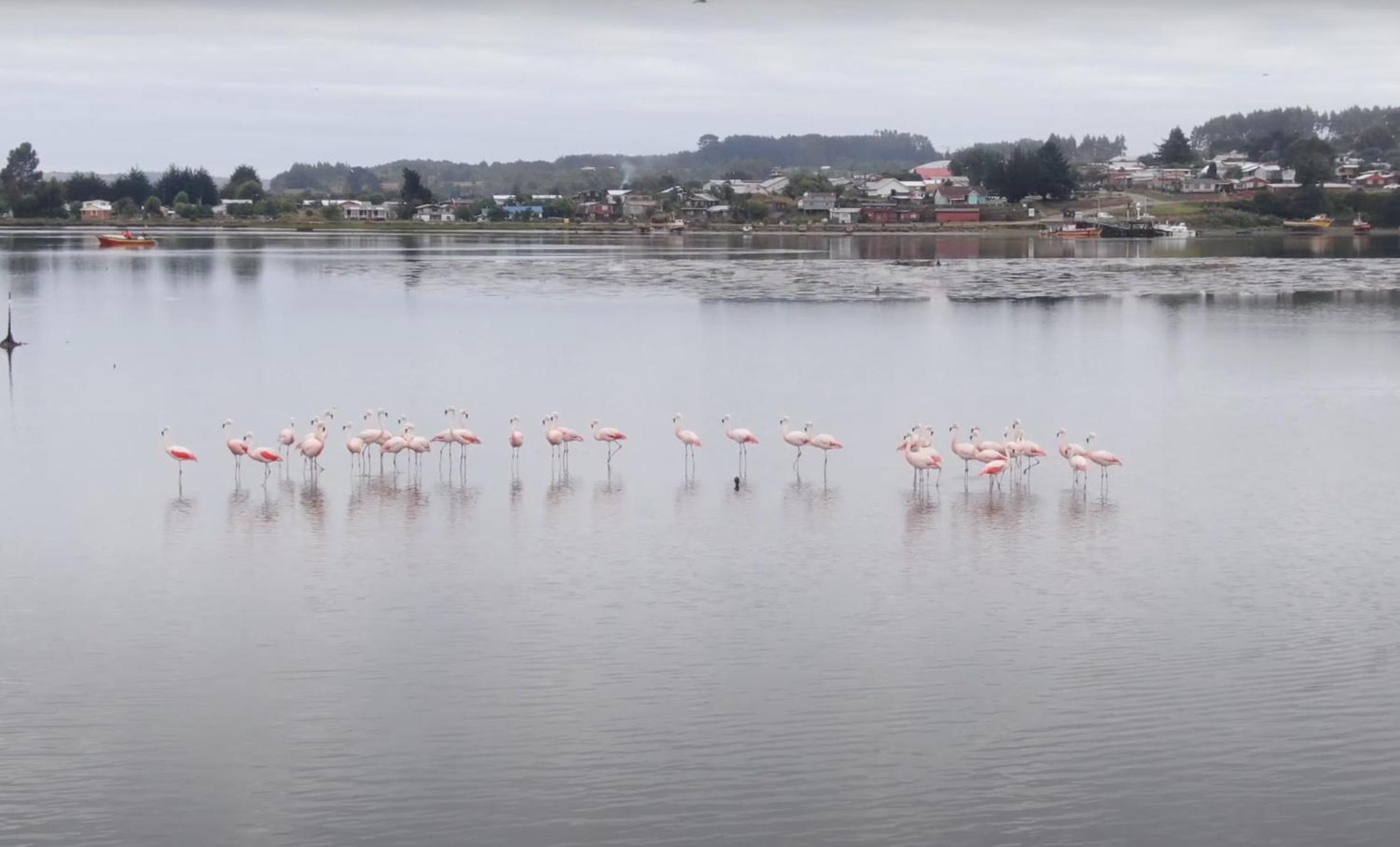 Cabañas y Tinajas Rio Quenuir