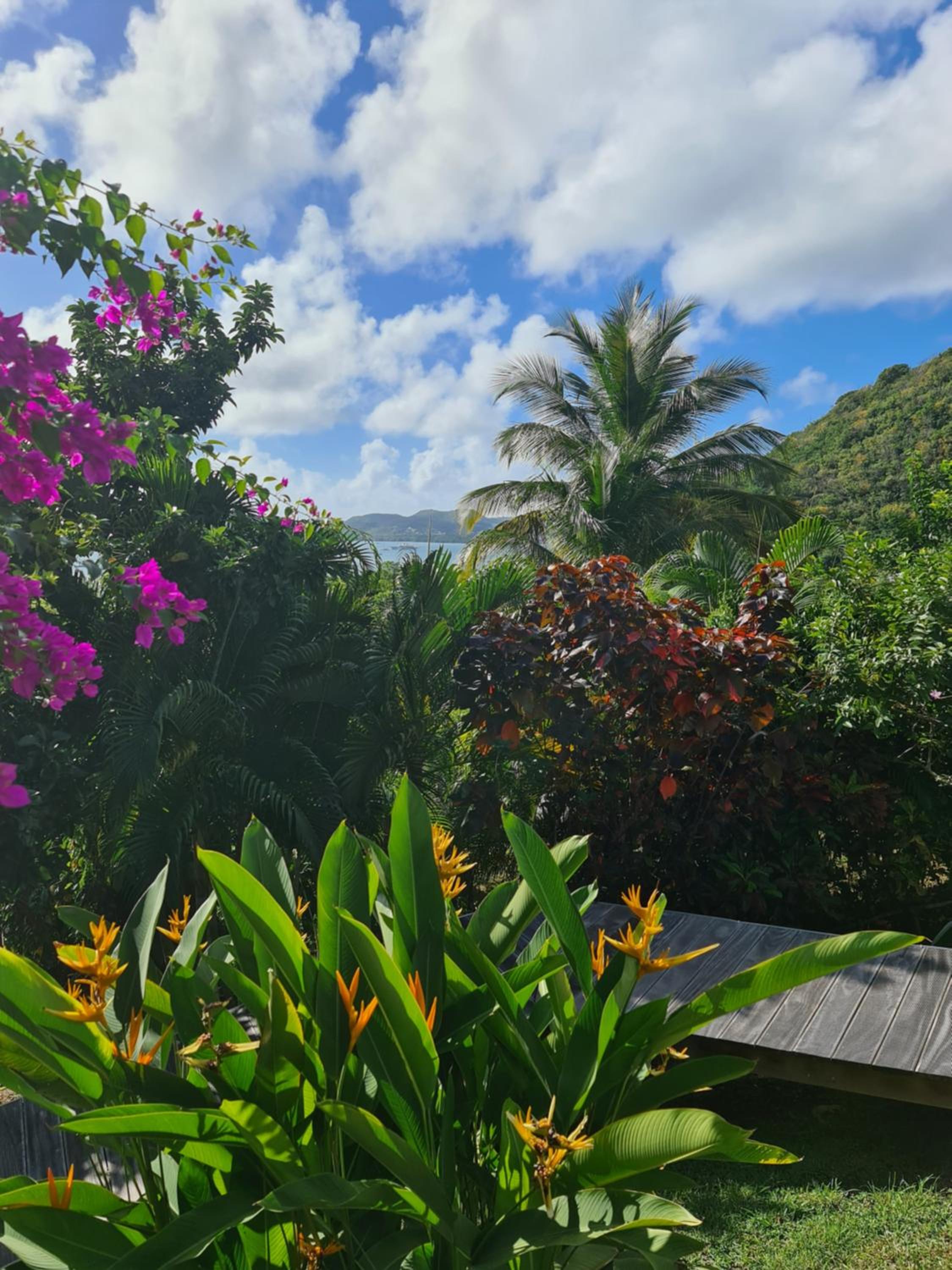 La Villa Baie du Marin view 5