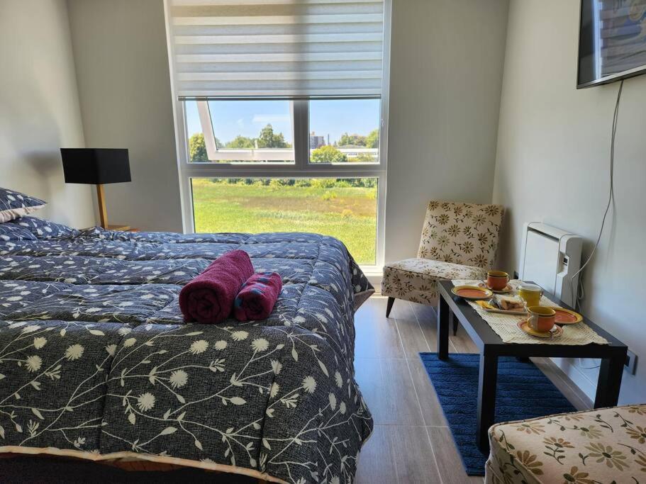 Departamento centro de Valdivia, Los Laureles 270, Isla Teja