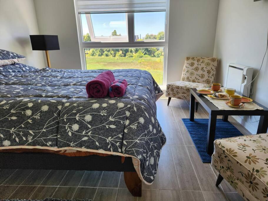 Departamento centro de Valdivia, Los Laureles 270, Isla Teja