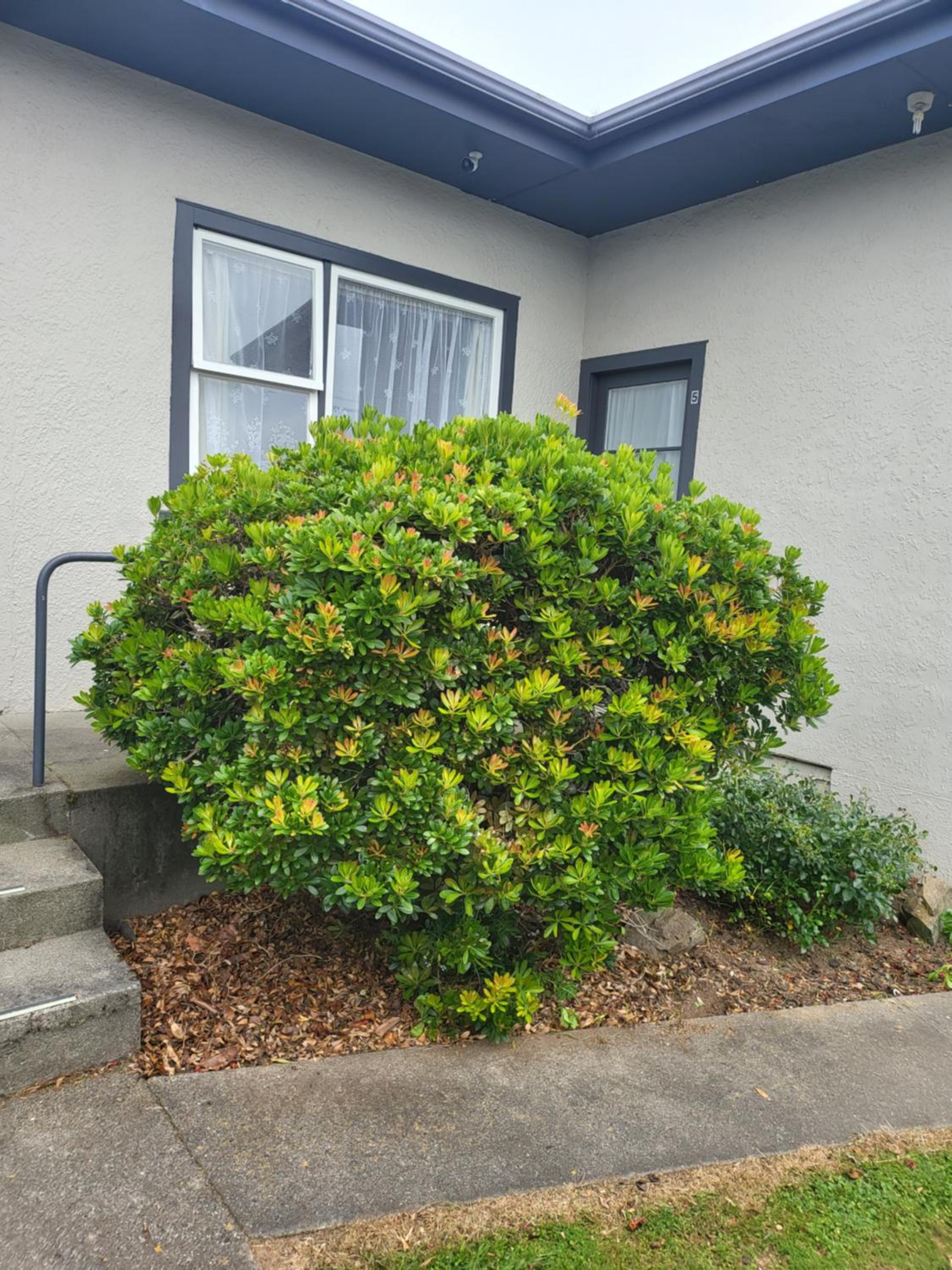 Totara Lodge Motel
