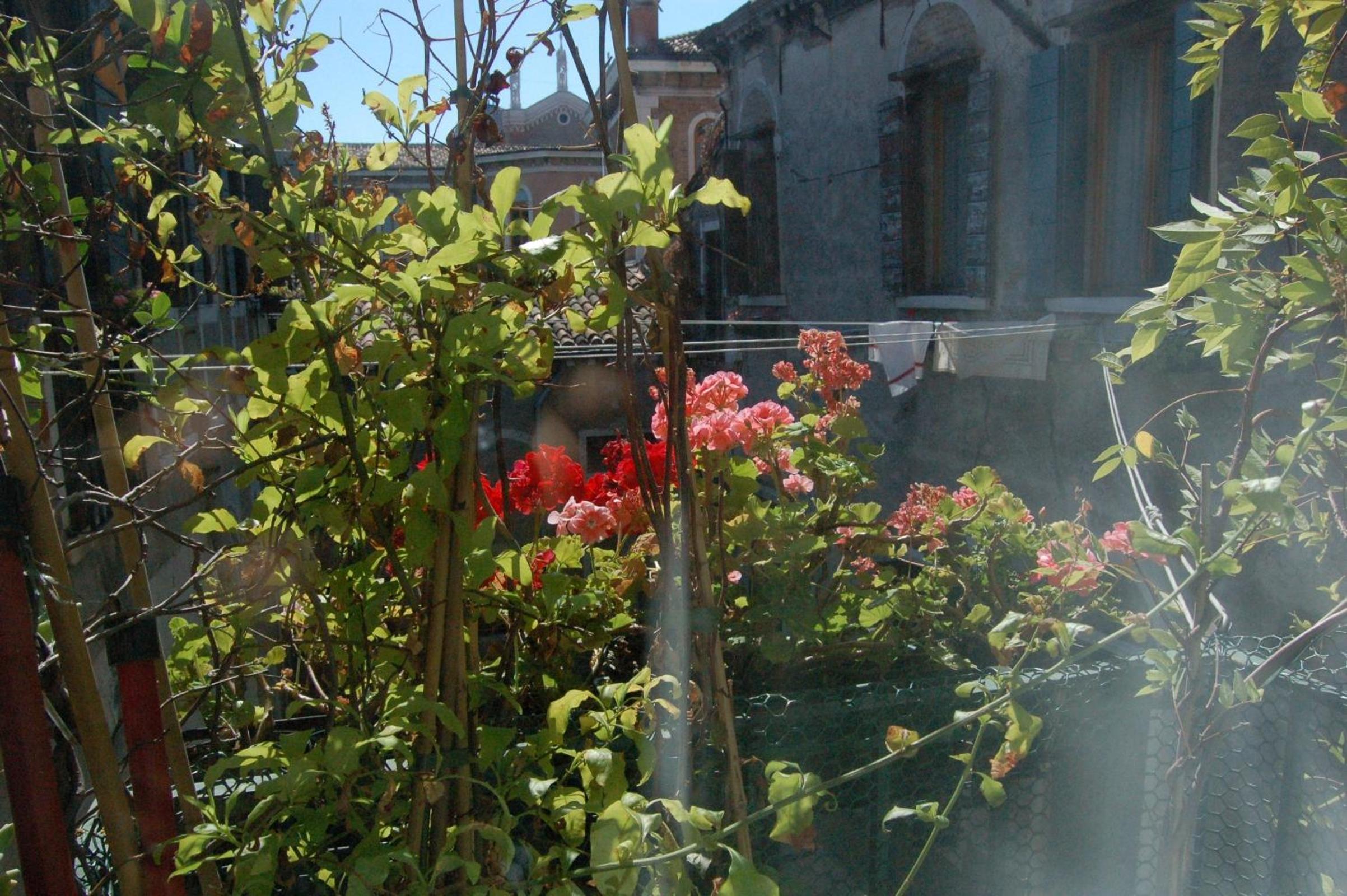 Ca' Riccio